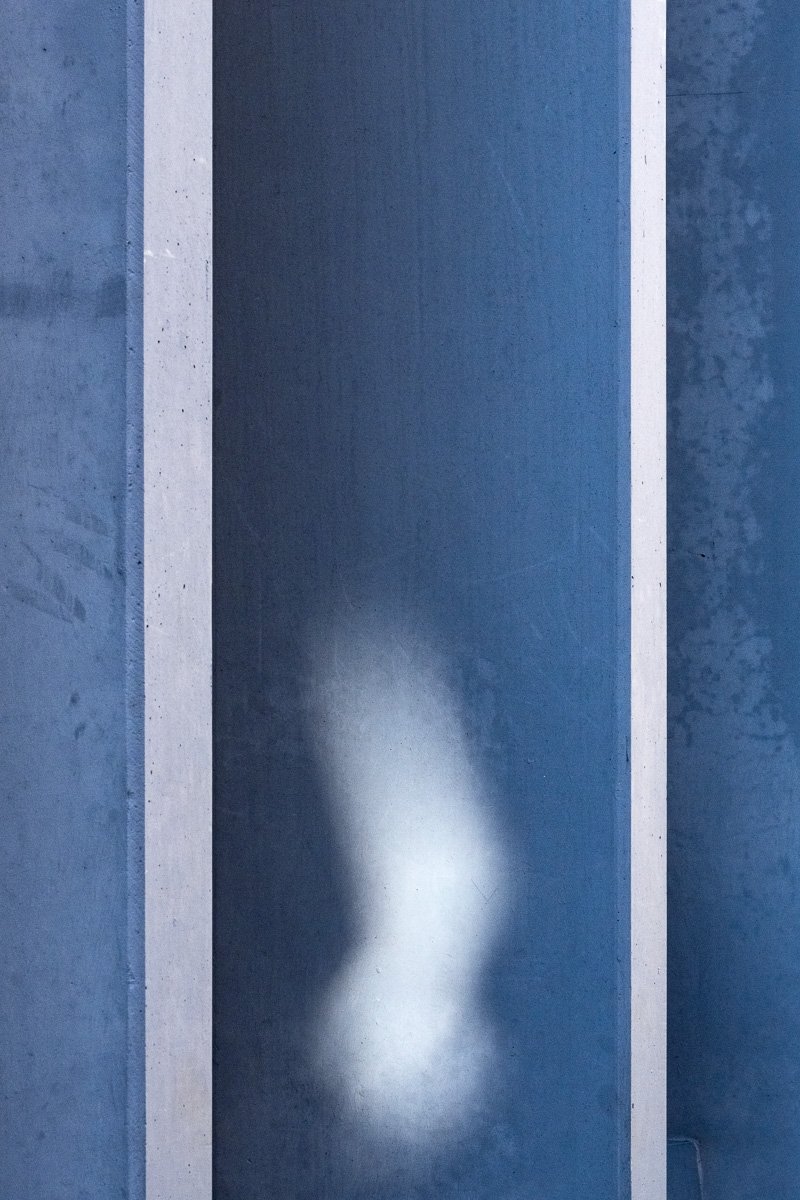 A fleeting glimpse — Maarten Rots