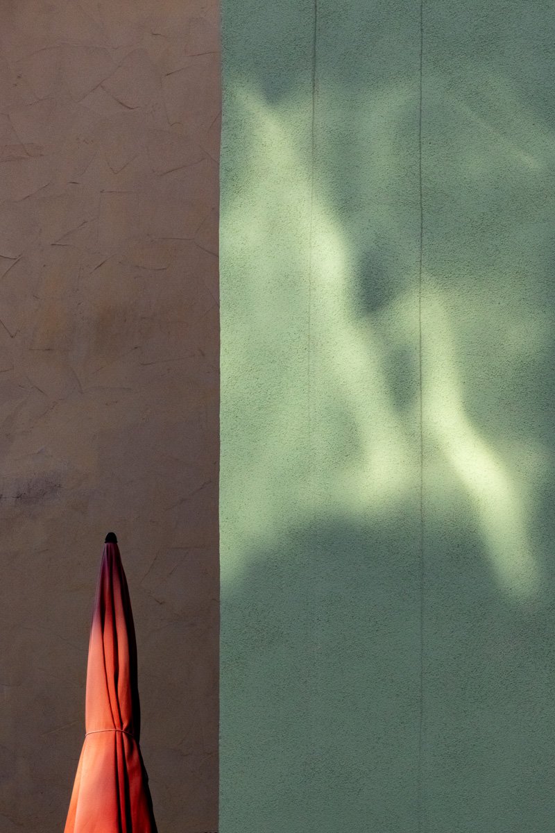 A fleeting glimpse — Maarten Rots
