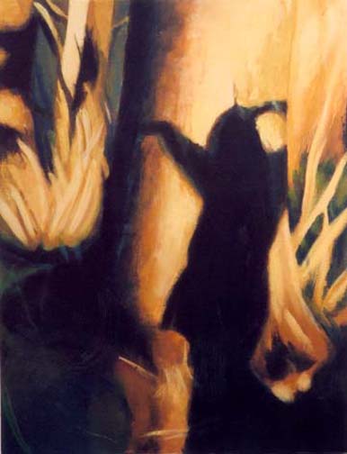 Shadowplay