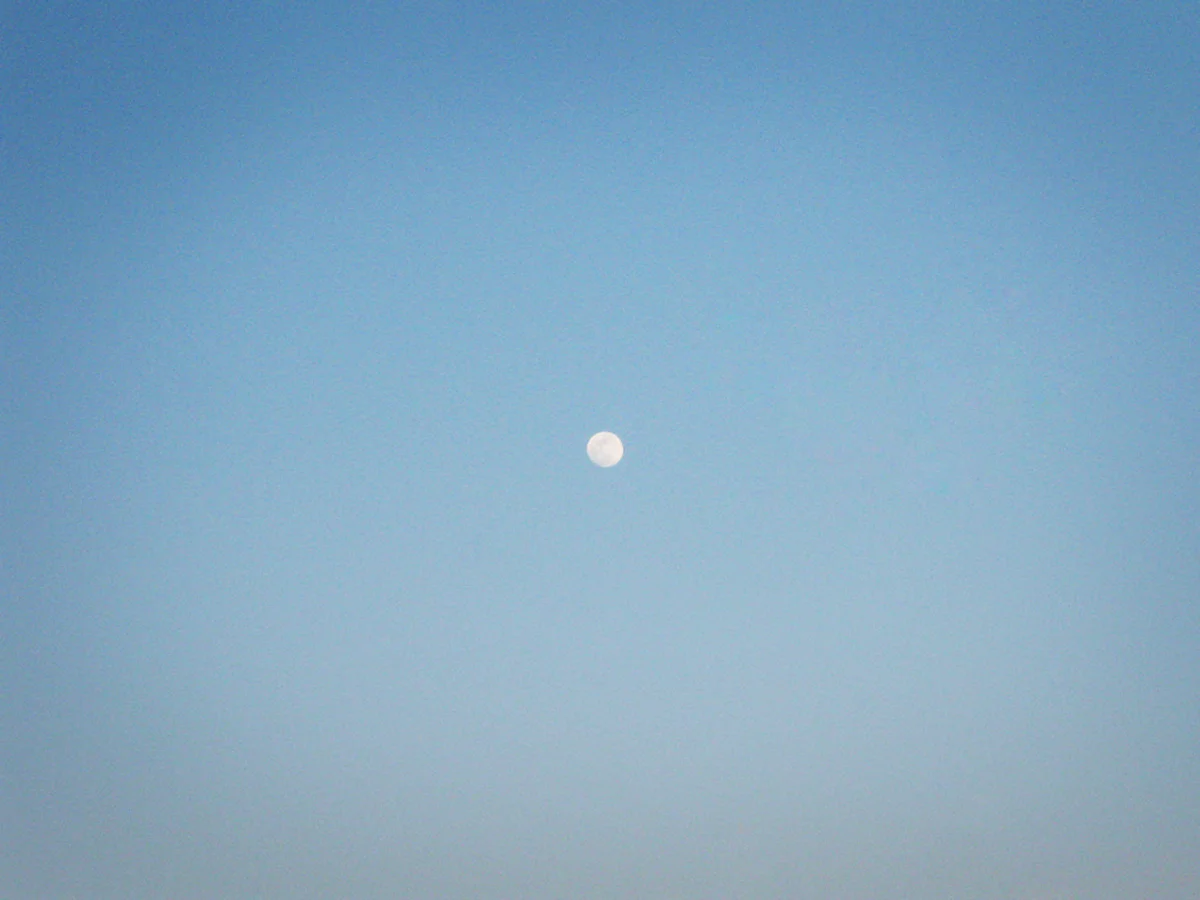 yskmyk0099.jpg