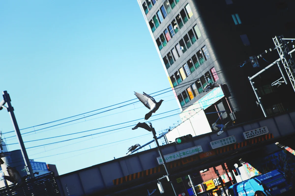yskmyk0743.jpg