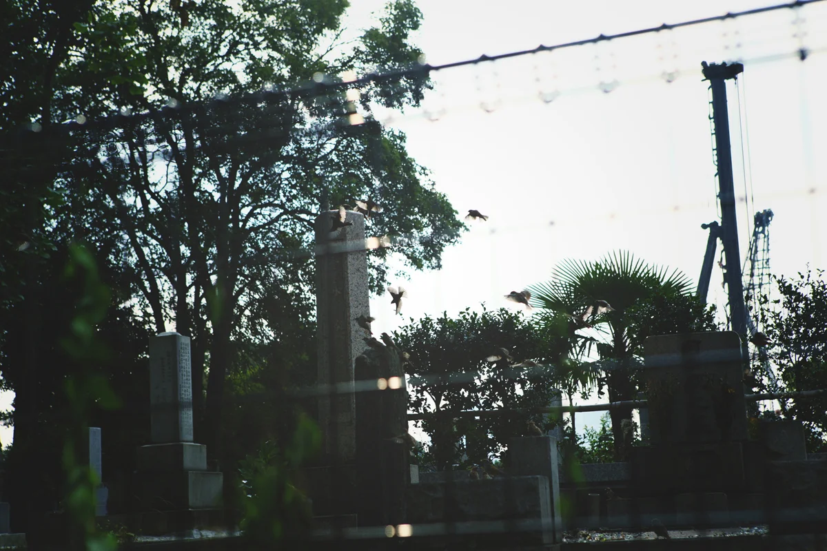 yskmyk0747.jpg