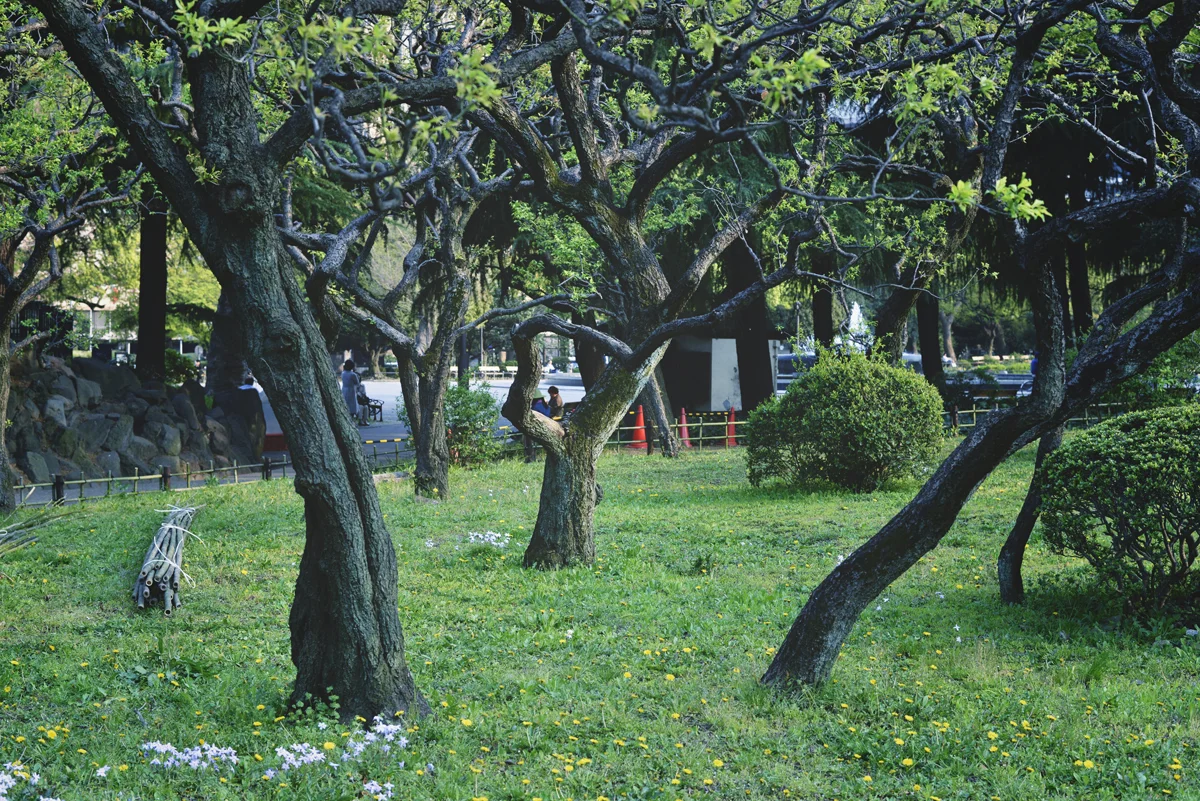 yskmyk0834.jpg