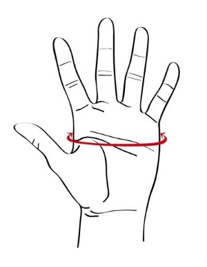 Doki_GloveSizing Hand.jpg