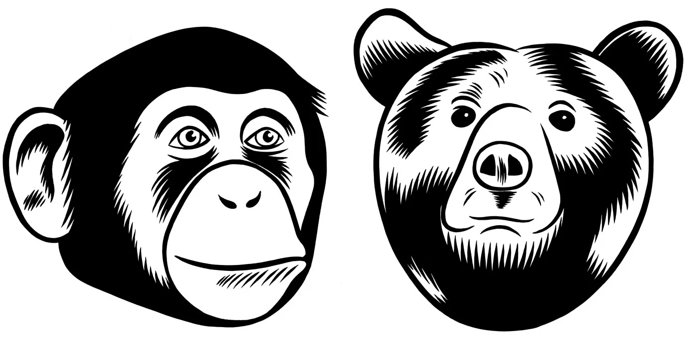 Illustrations made for Ape & Bjørn logo, 2013.