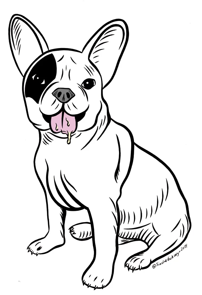 frencBulldog_C_web.jpg