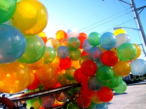 IMG_0281.jpg