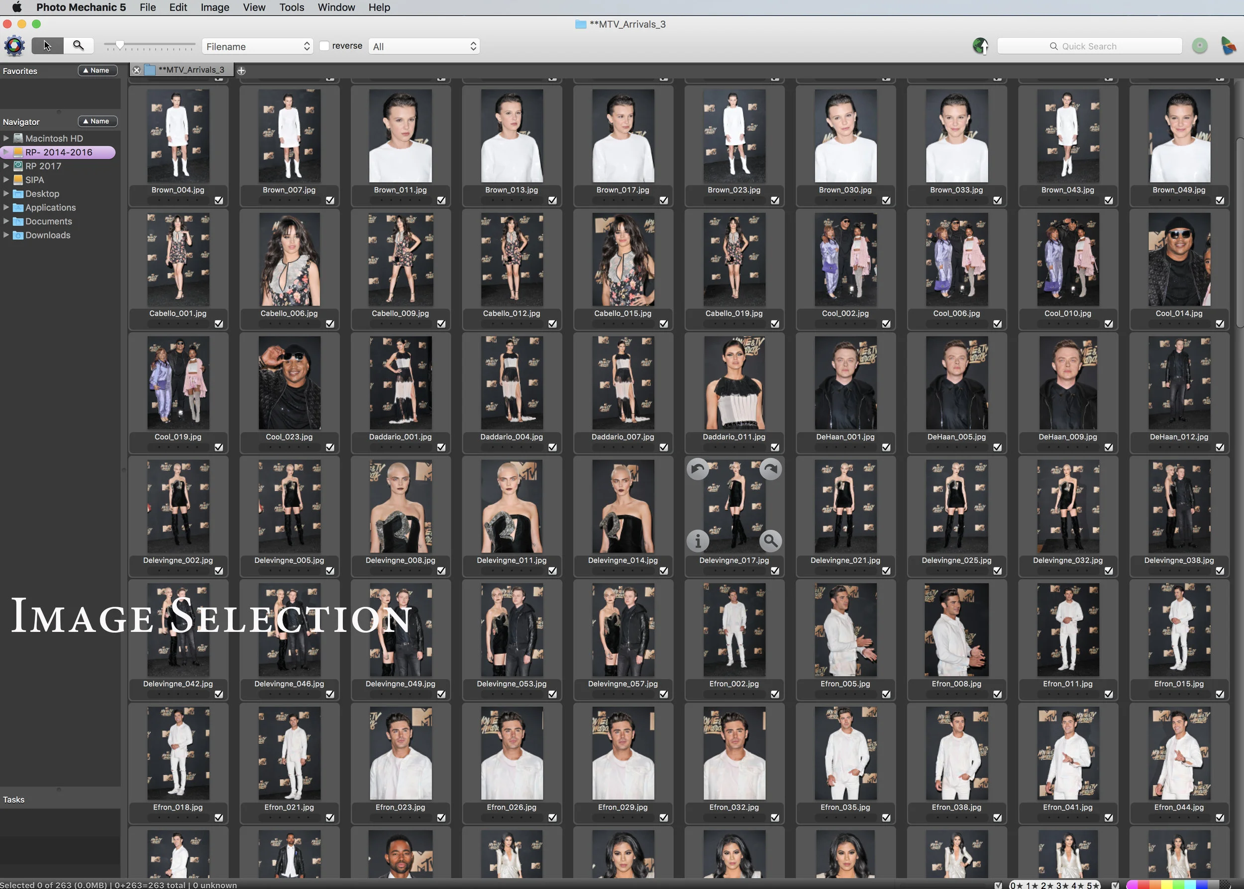 ImageSelection.jpg