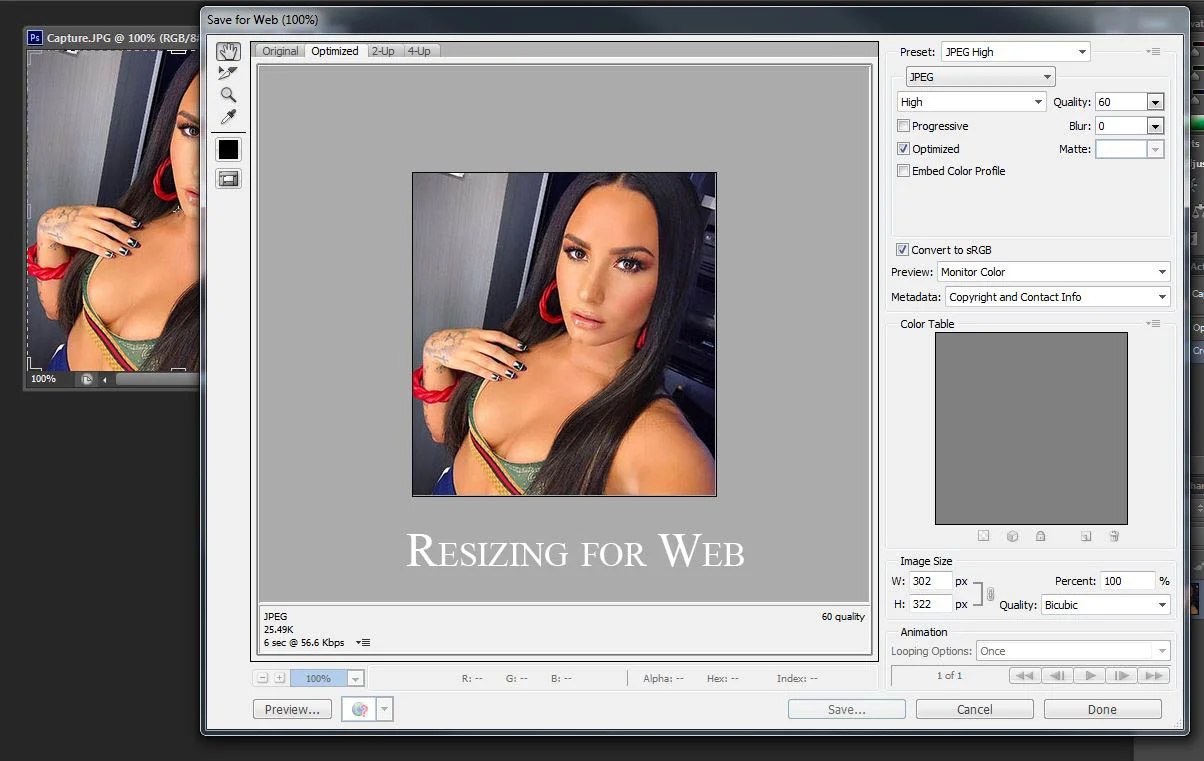demi copy.jpg