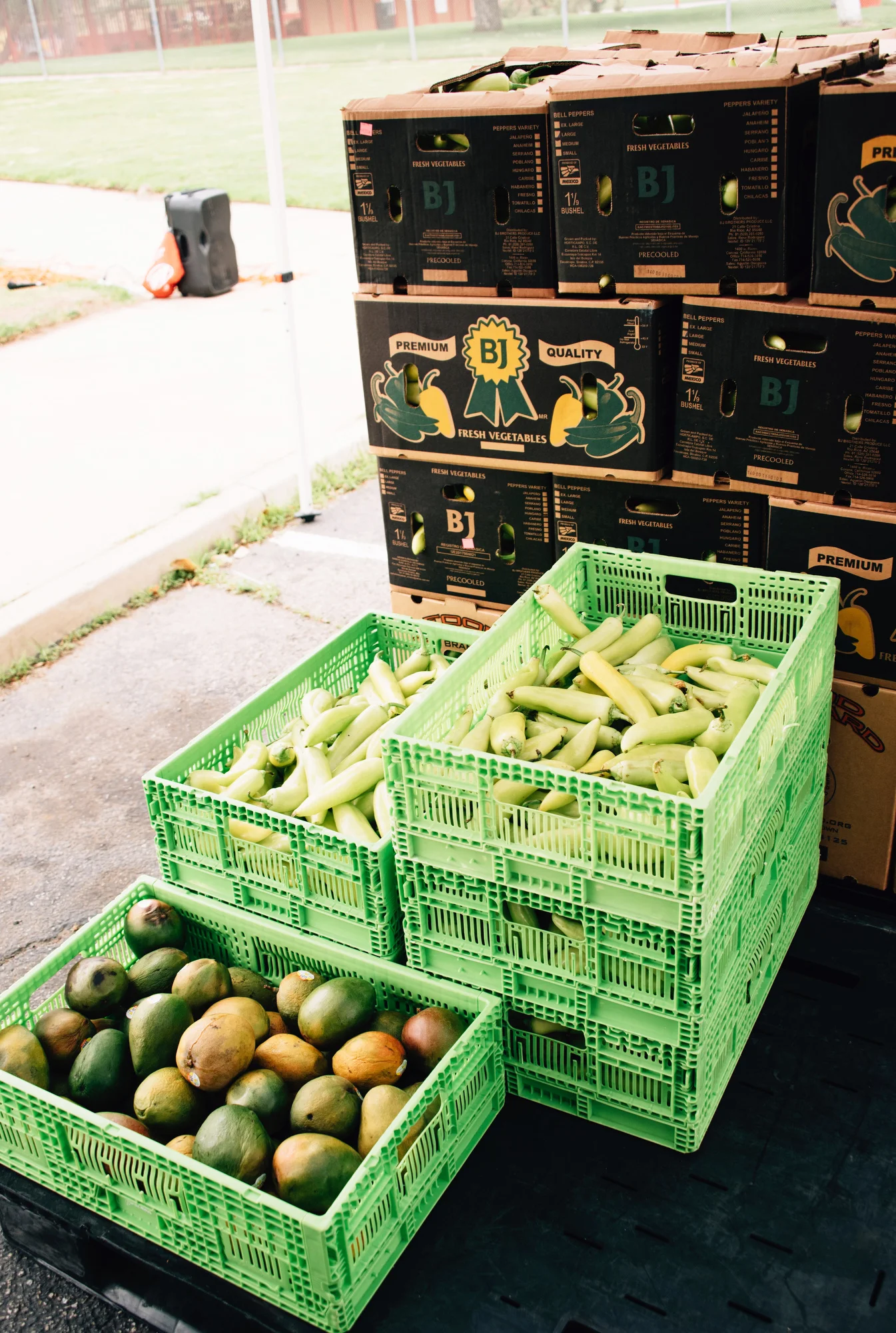 FoodForward_RebeccaPeloquin_005.JPG