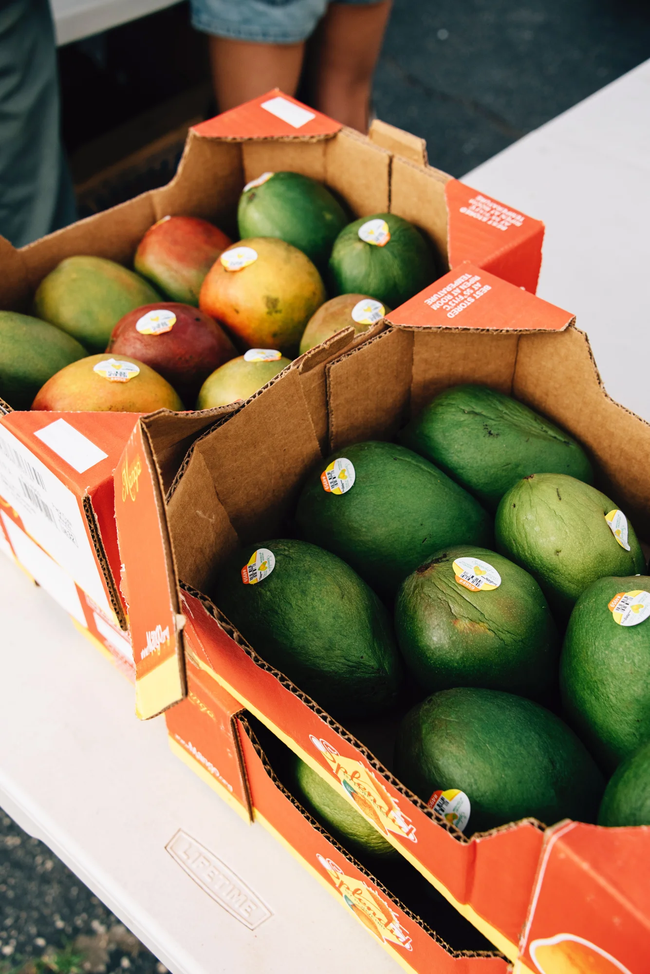 FoodForward_RebeccaPeloquin_009.JPG