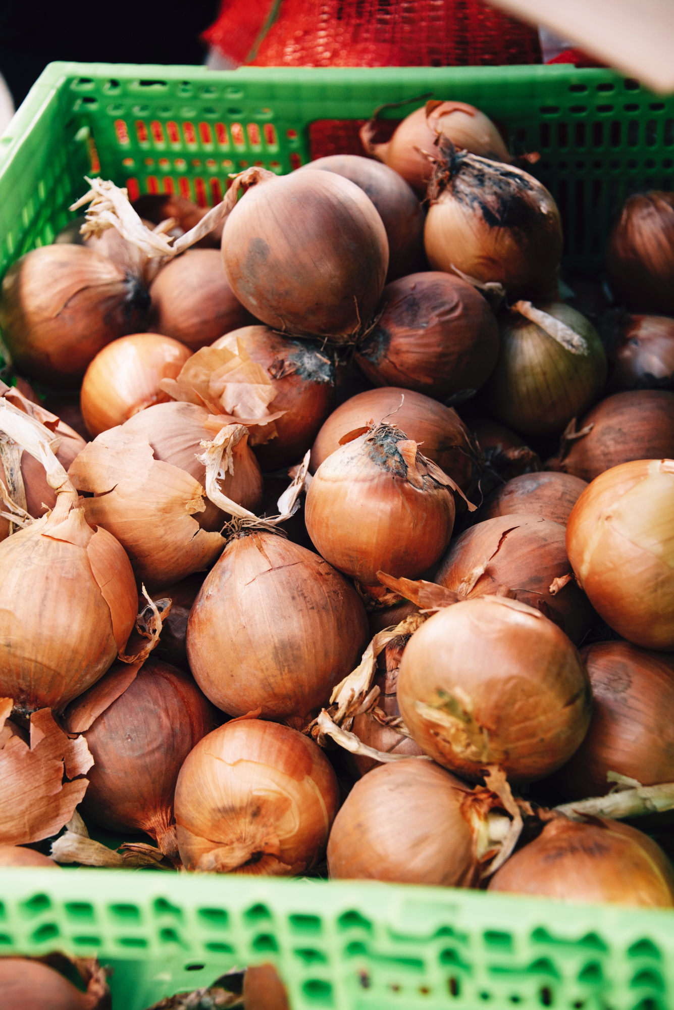 FoodForward_RebeccaPeloquin_011.JPG