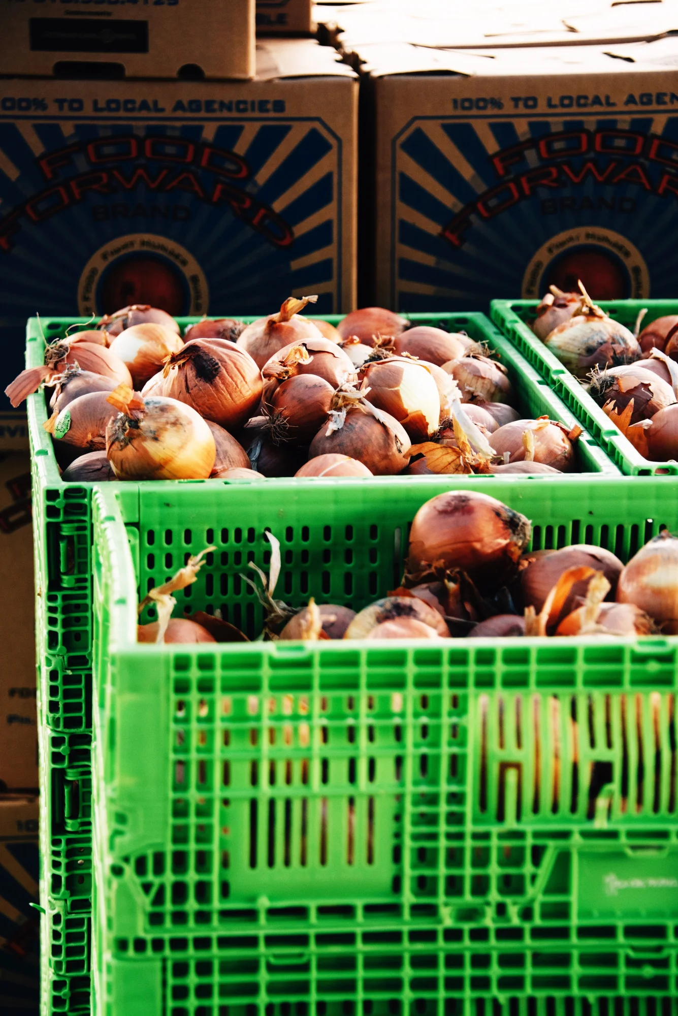 FoodForward_RebeccaPeloquin_012.JPG