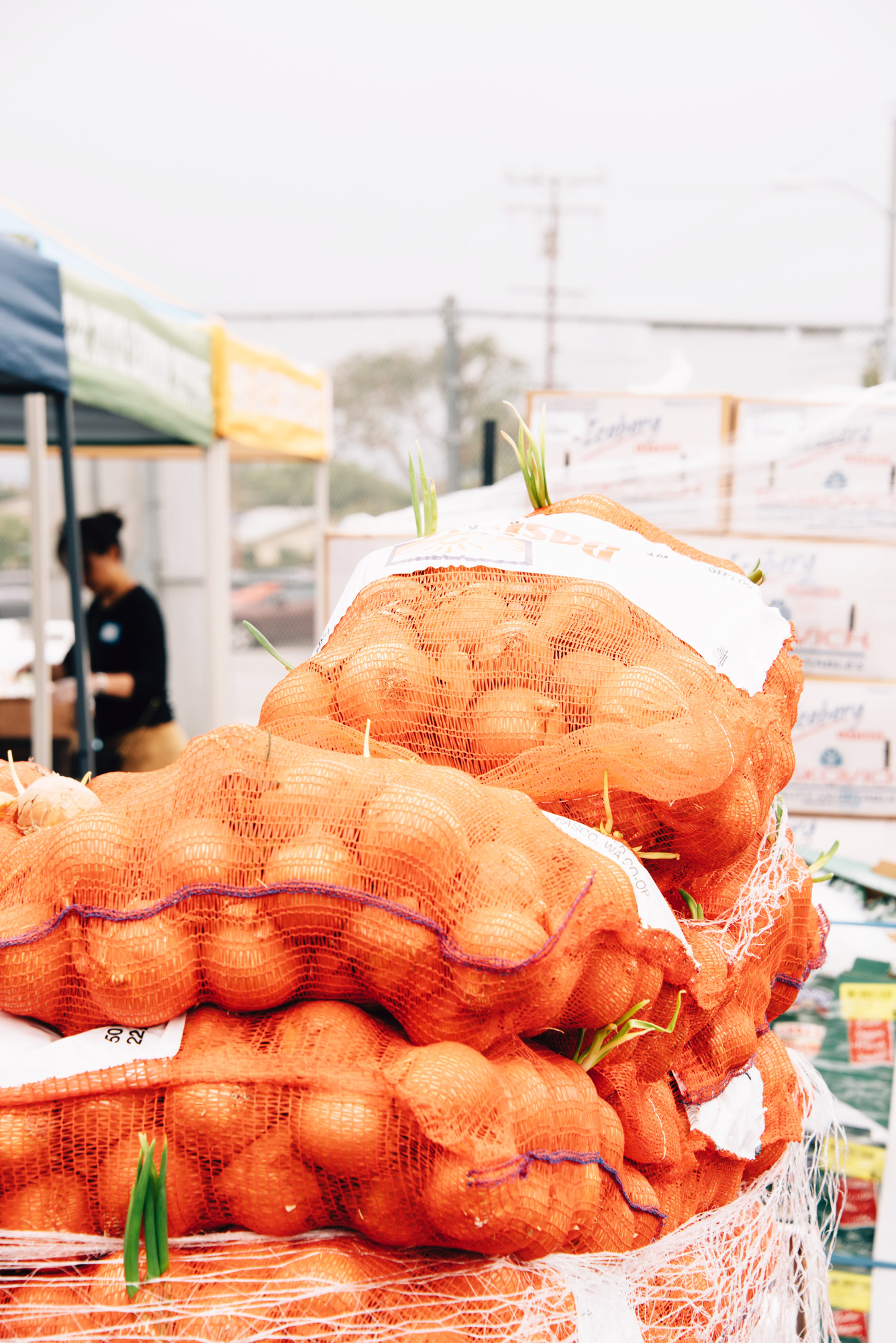 FoodForward_RebeccaPeloquin_013.JPG