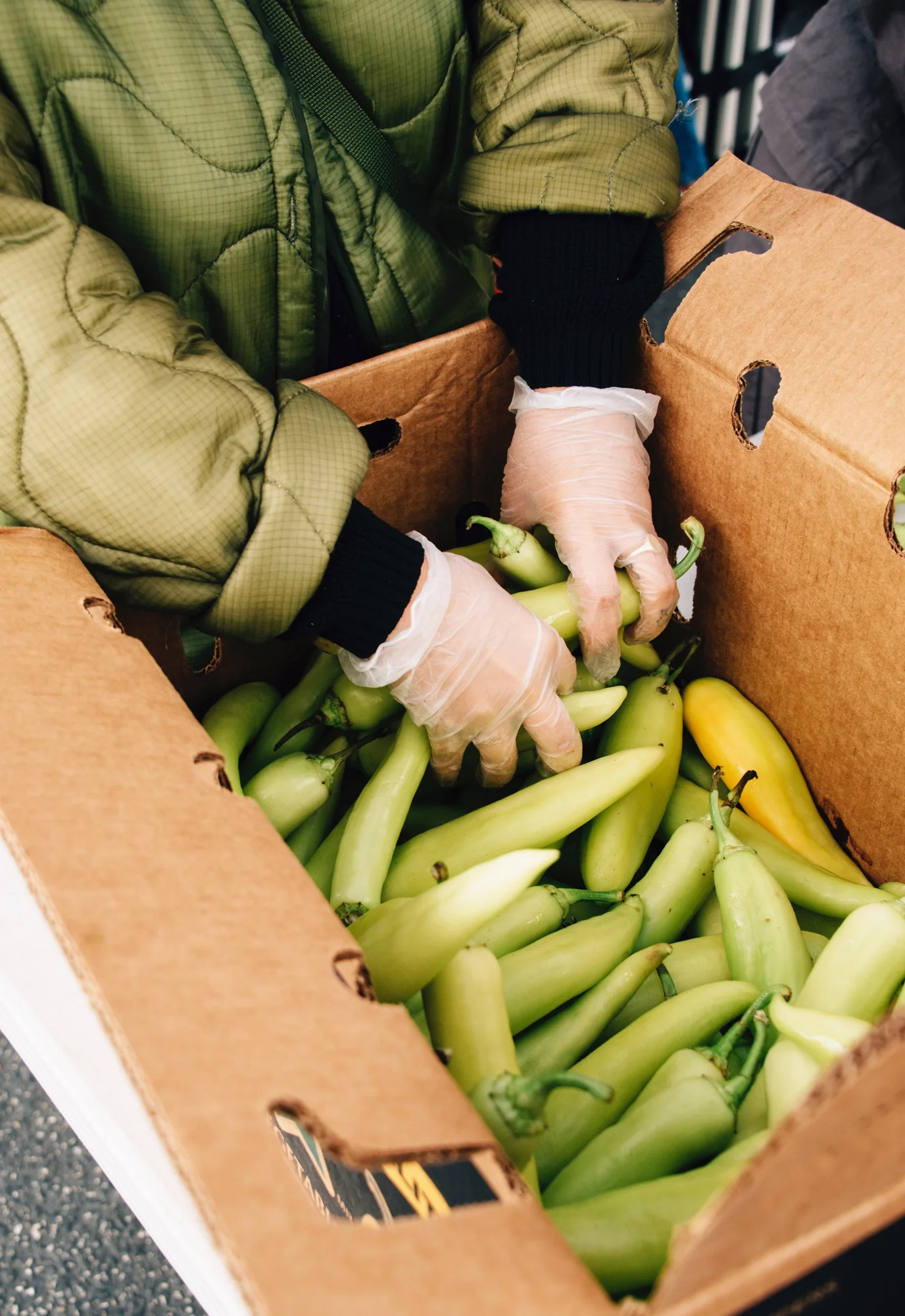 FoodForward_RebeccaPeloquin_015.JPG