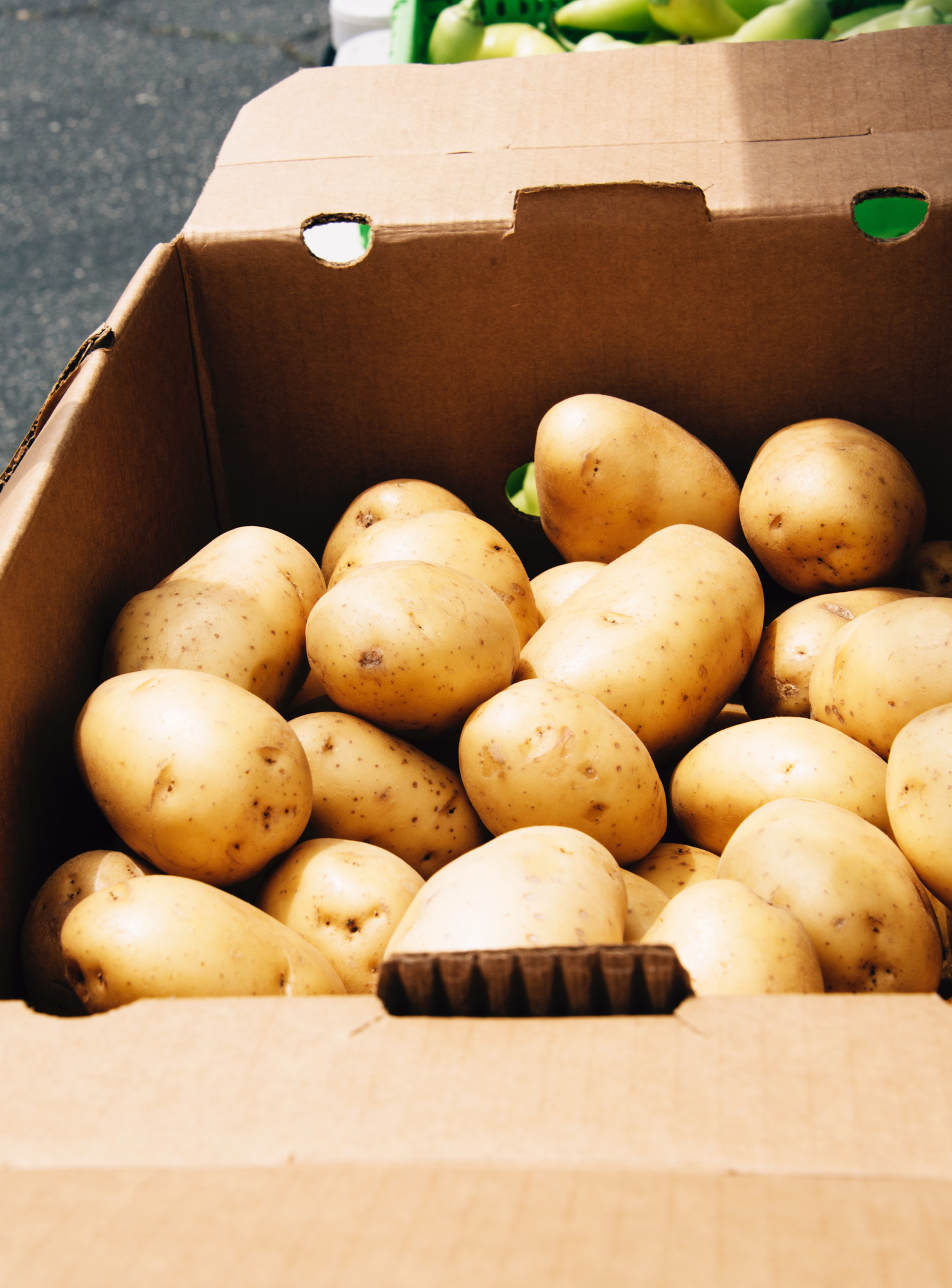 FoodForward_RebeccaPeloquin_017.JPG