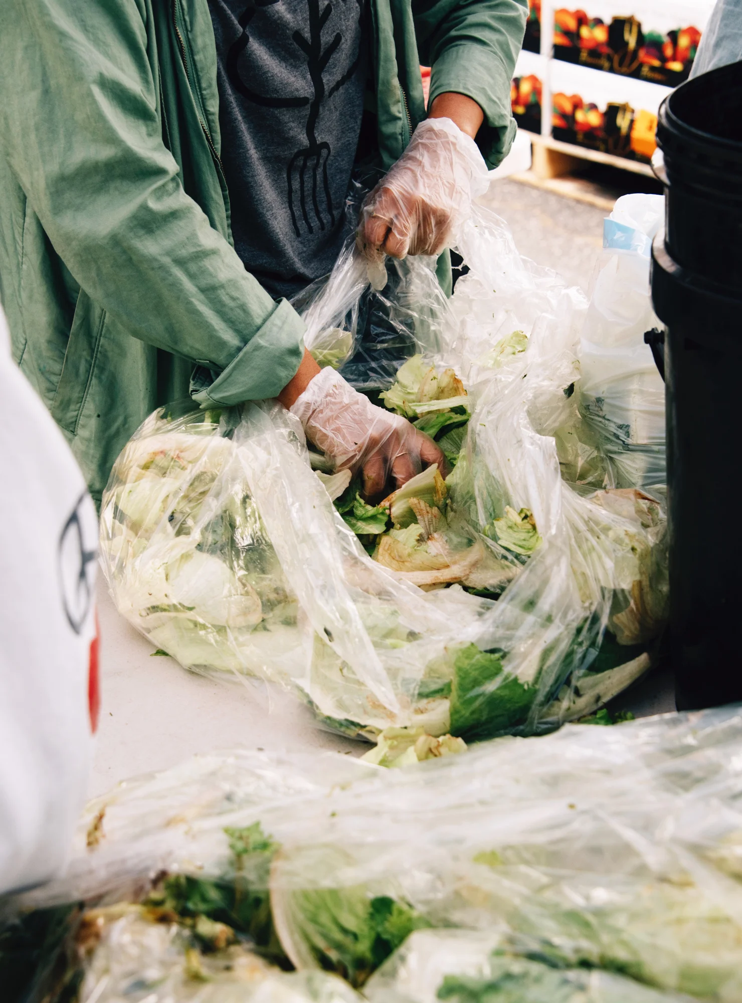 FoodForward_RebeccaPeloquin_019.JPG