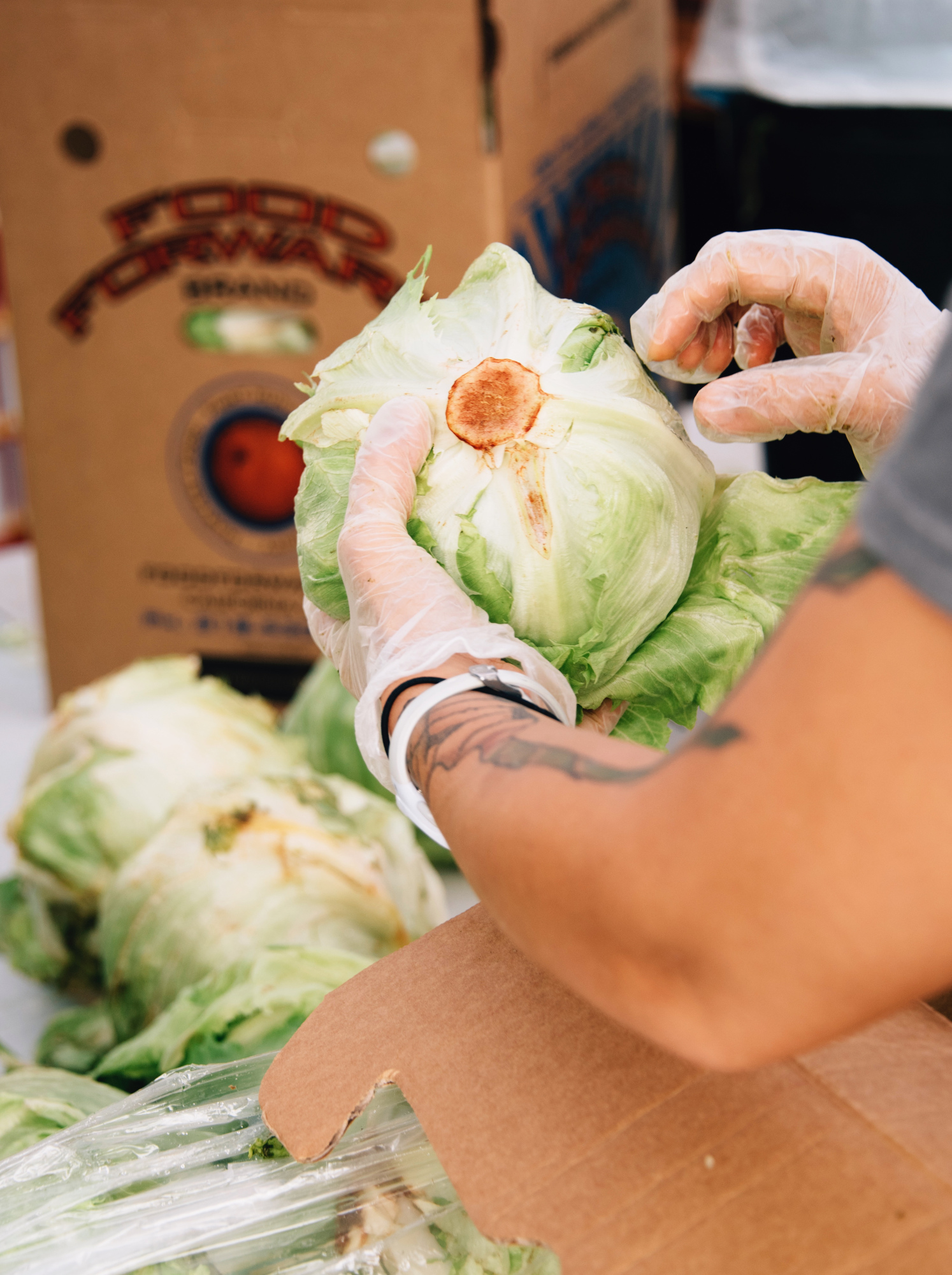FoodForward_RebeccaPeloquin_020.JPG