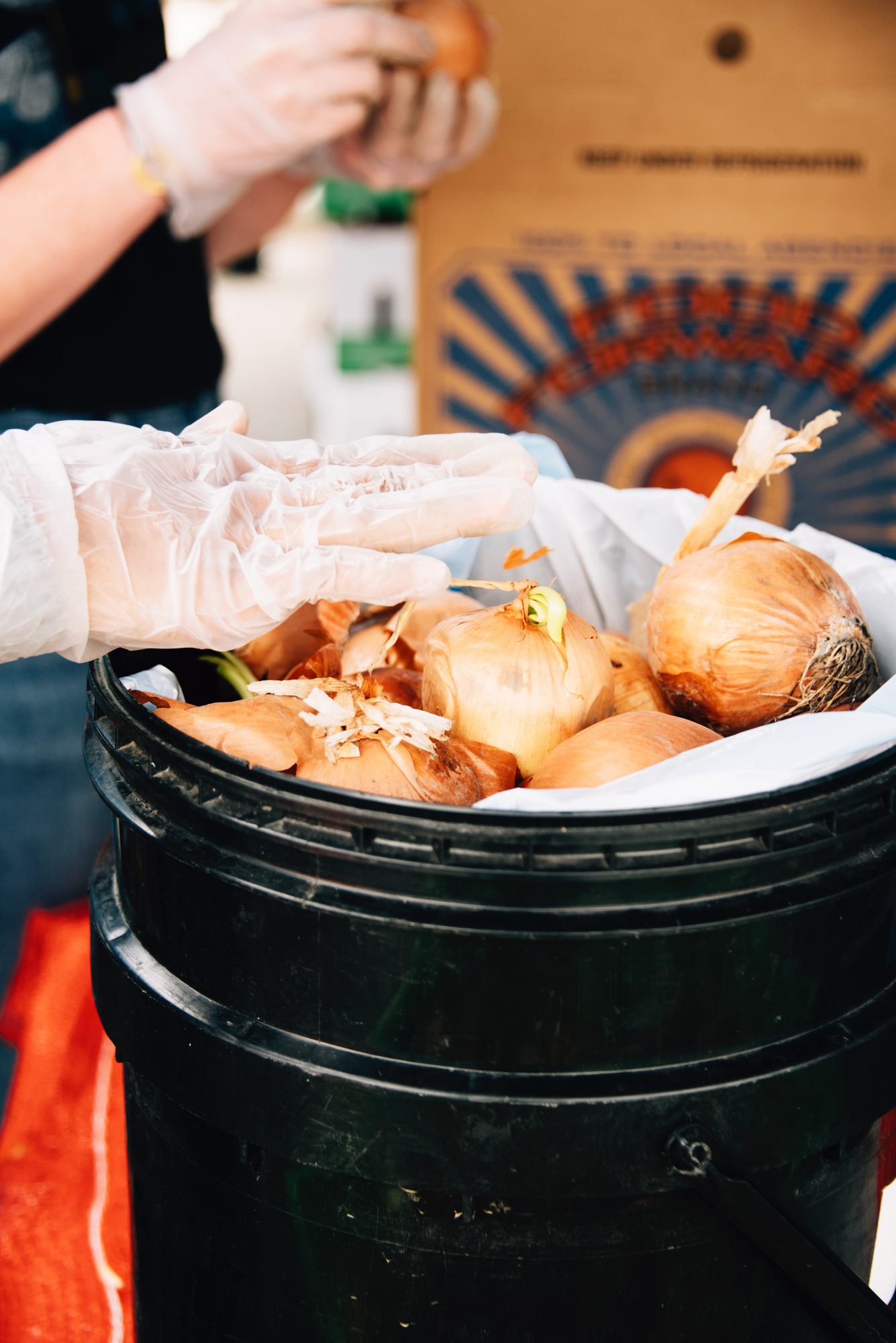 FoodForward_RebeccaPeloquin_026.JPG