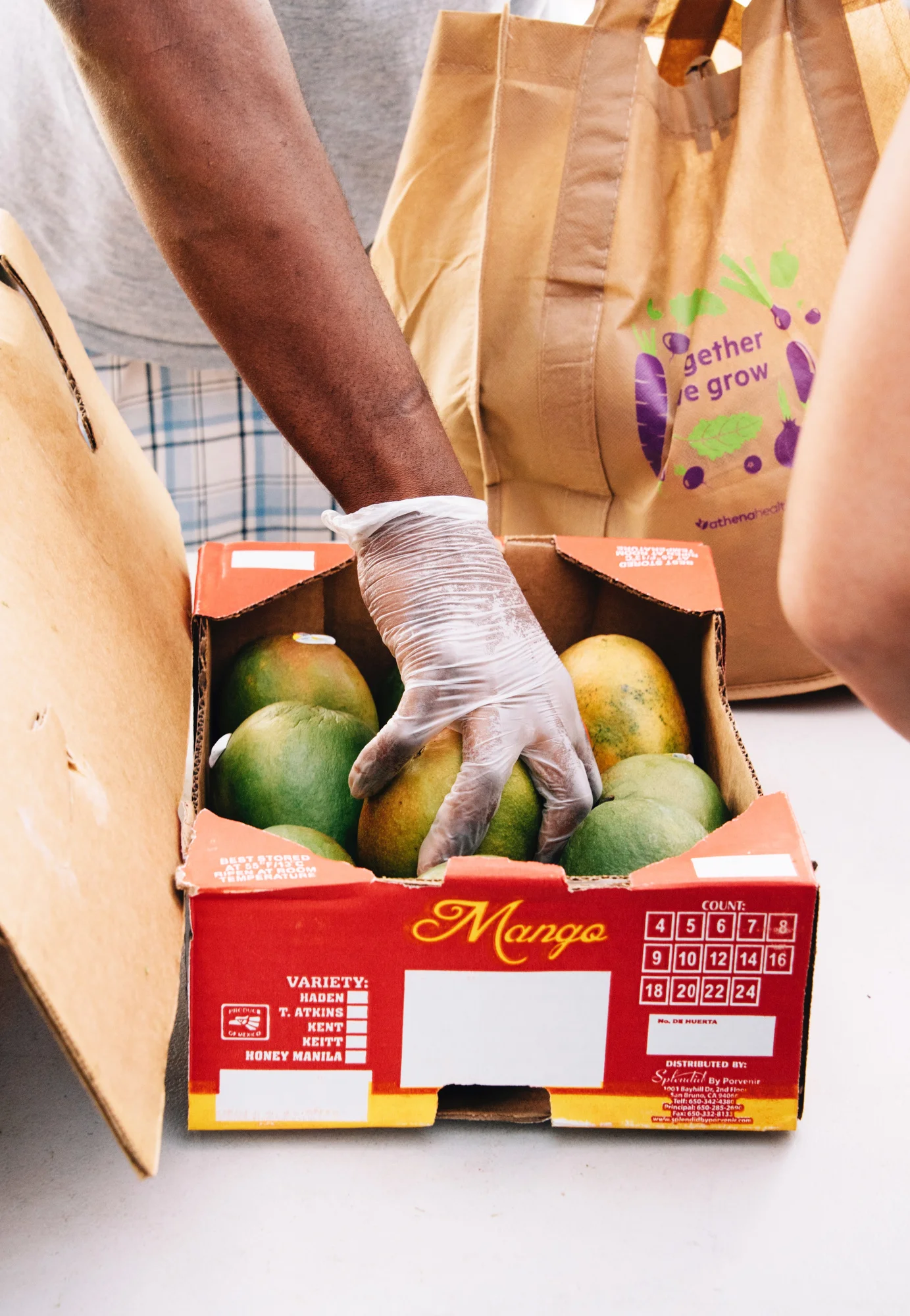 FoodForward_RebeccaPeloquin_030.JPG