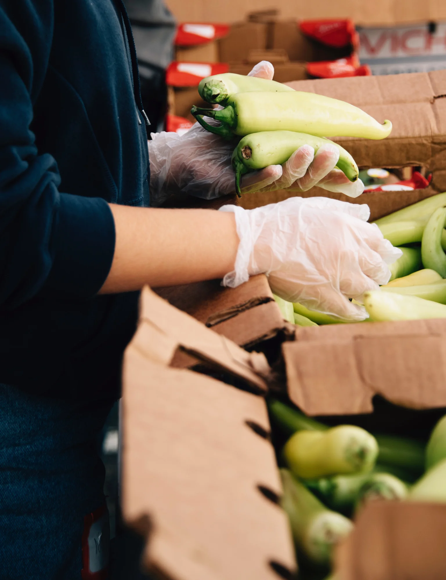FoodForward_RebeccaPeloquin_031.JPG