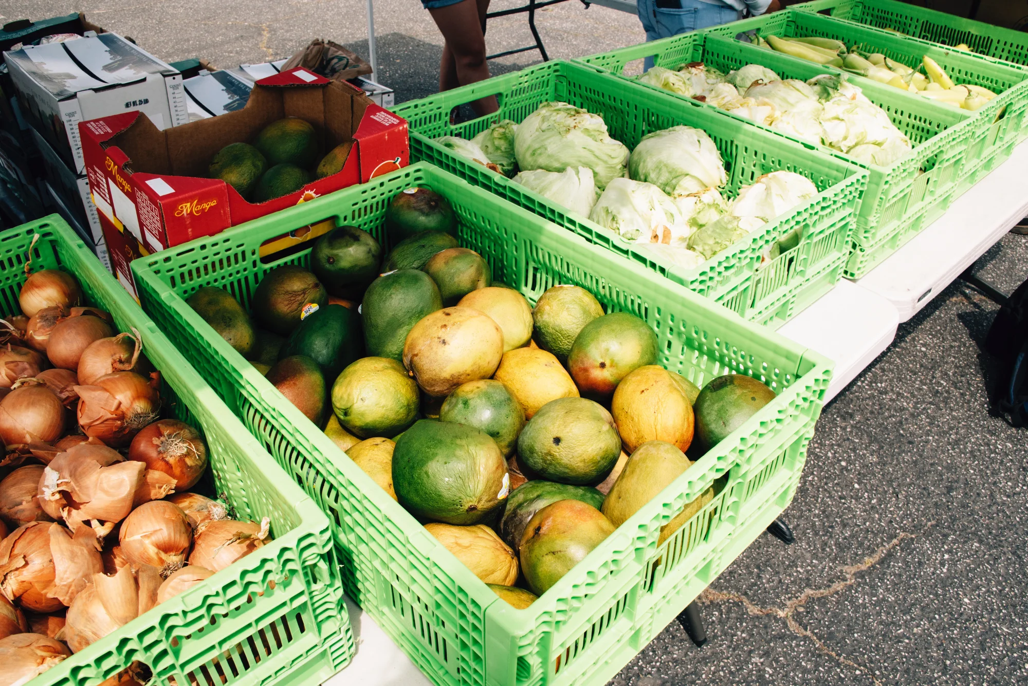 FoodForward_RebeccaPeloquin_040.JPG