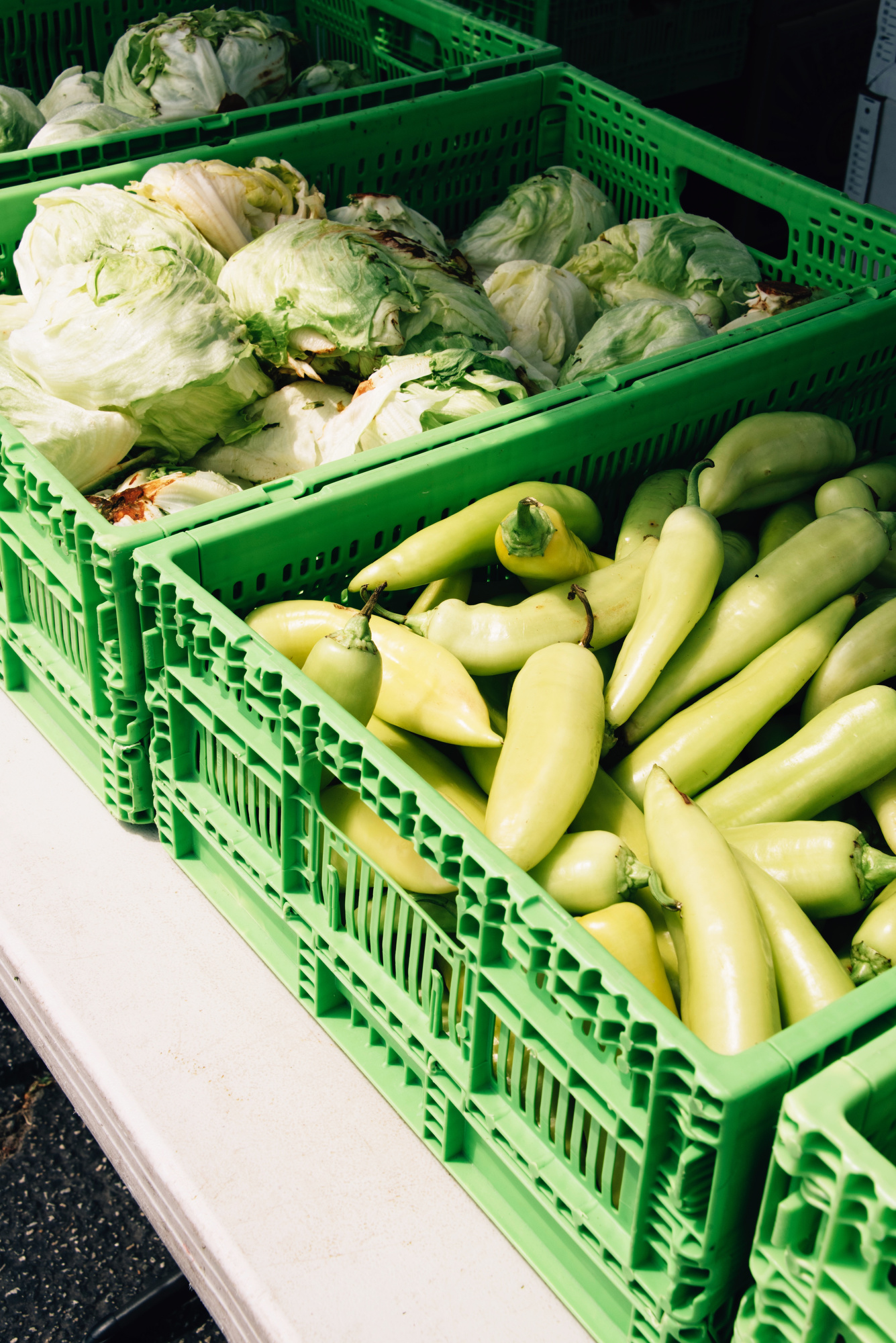 FoodForward_RebeccaPeloquin_041.JPG