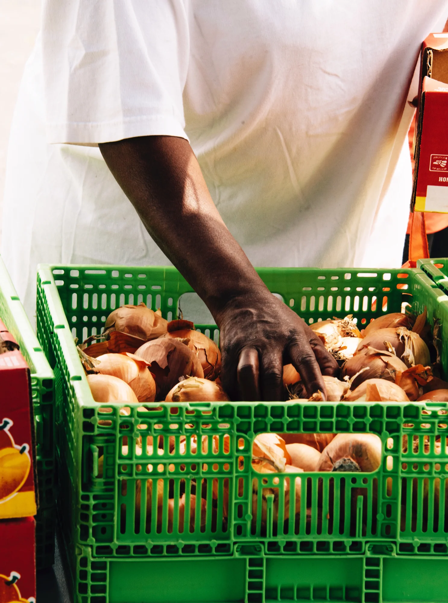 FoodForward_RebeccaPeloquin_042.JPG