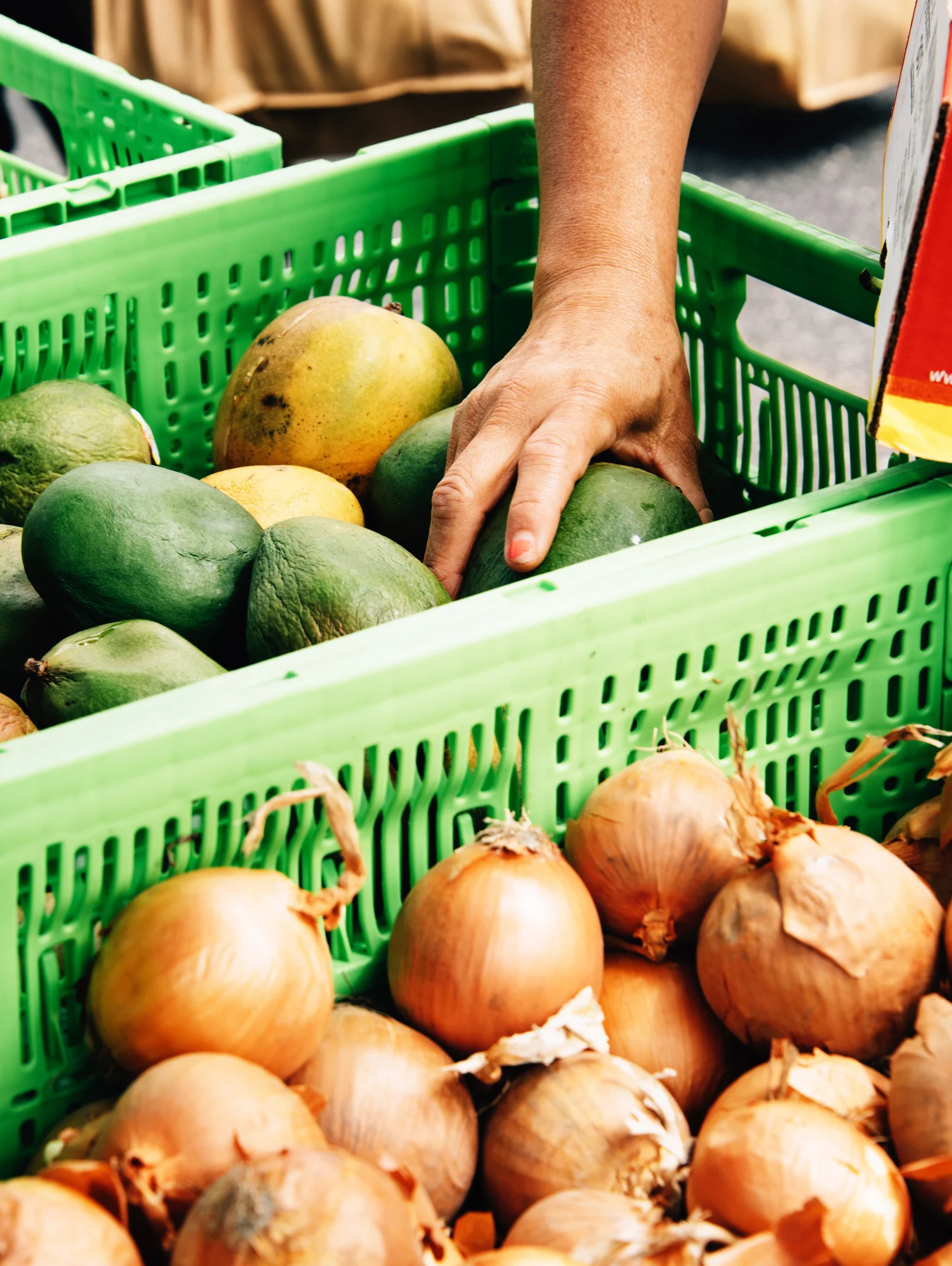 FoodForward_RebeccaPeloquin_045.JPG