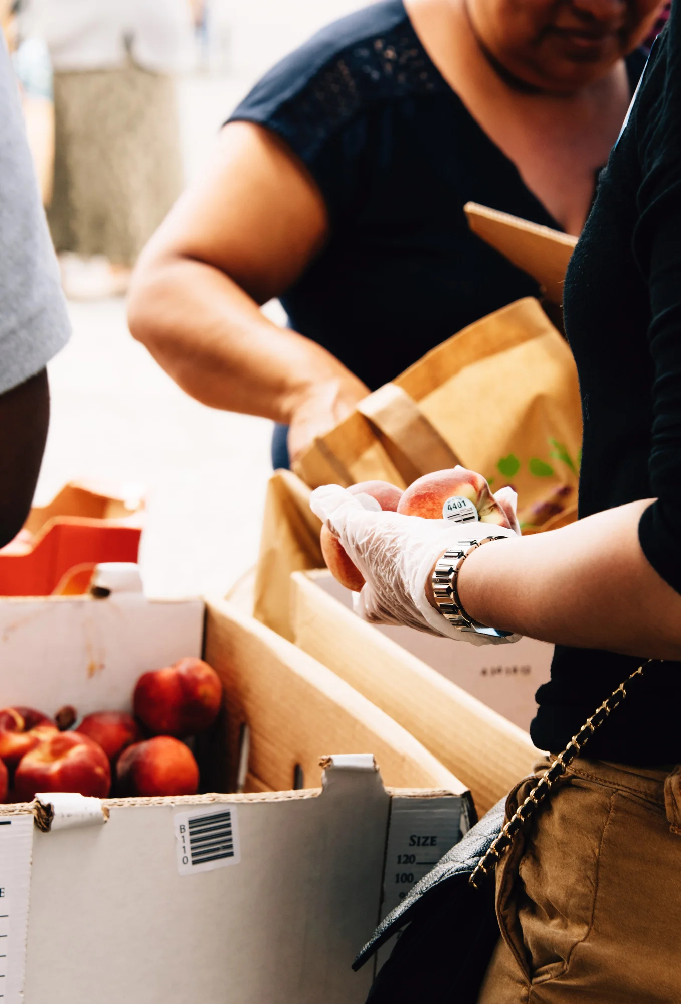 FoodForward_RebeccaPeloquin_047.JPG