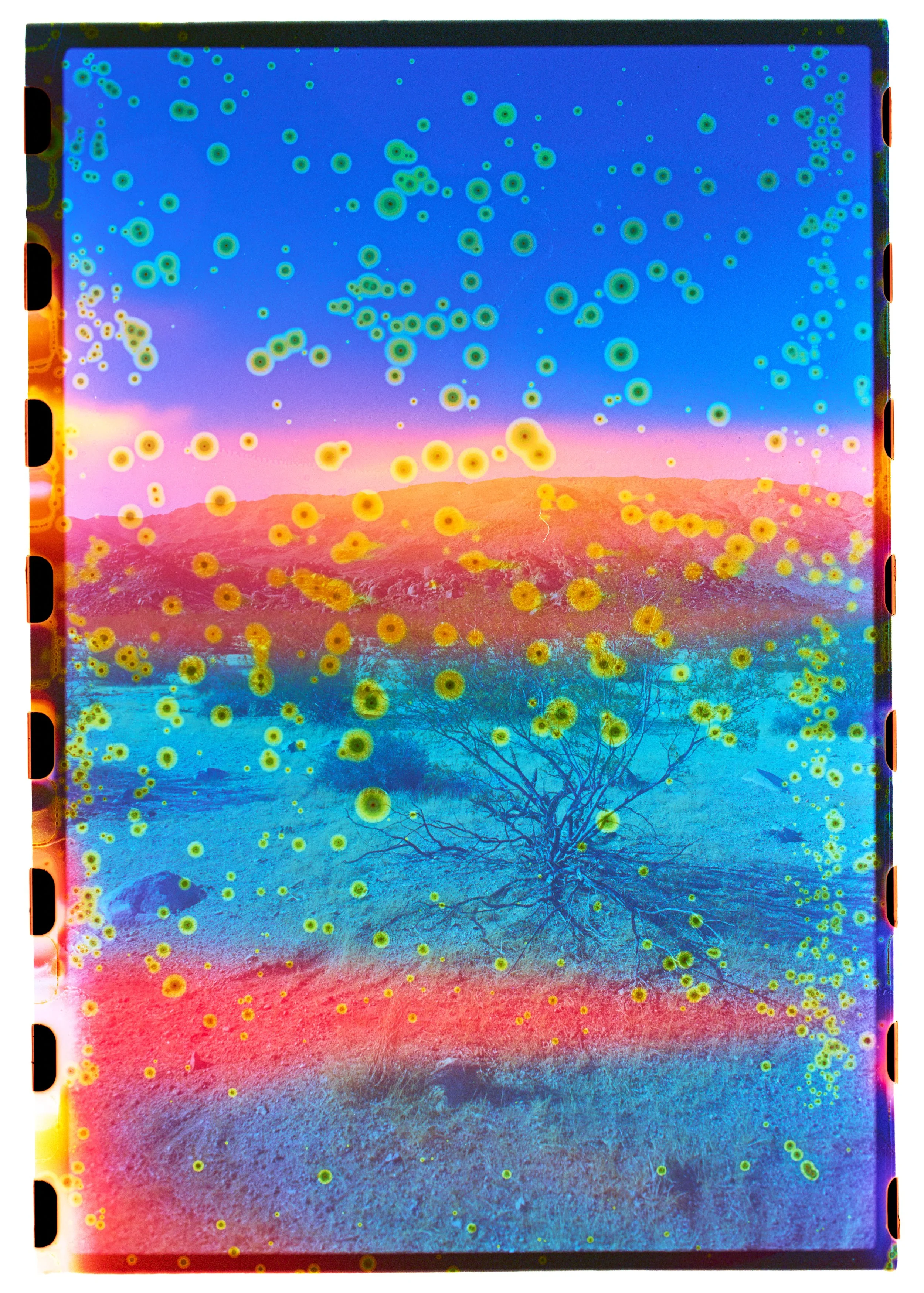 FilmScans4224A.jpg