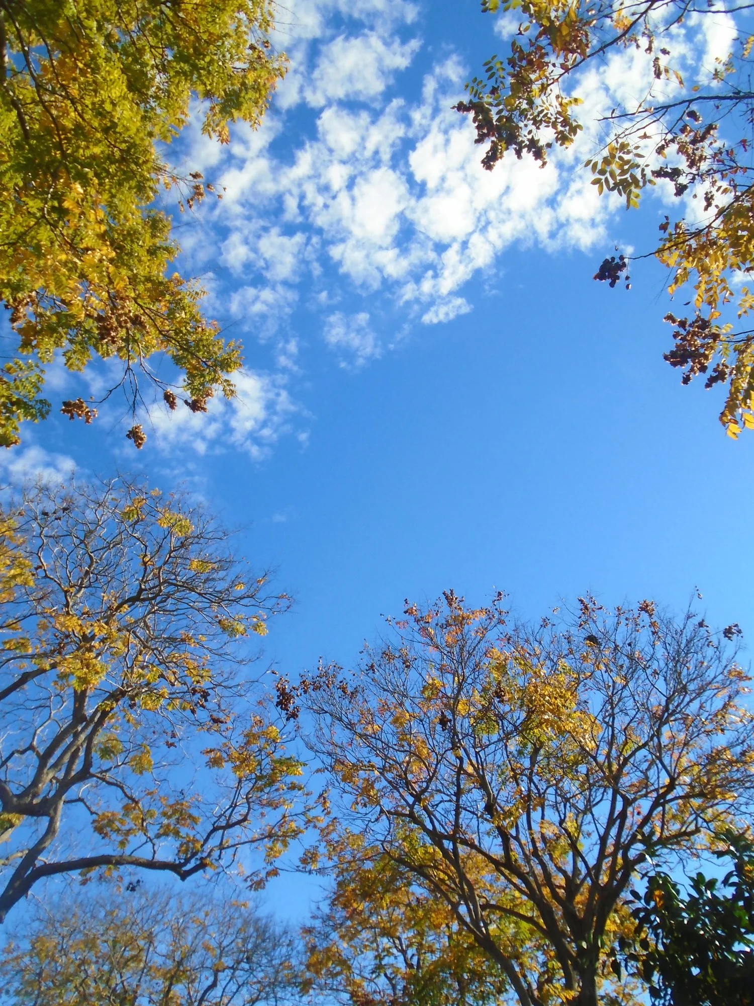 DSC02982.JPG