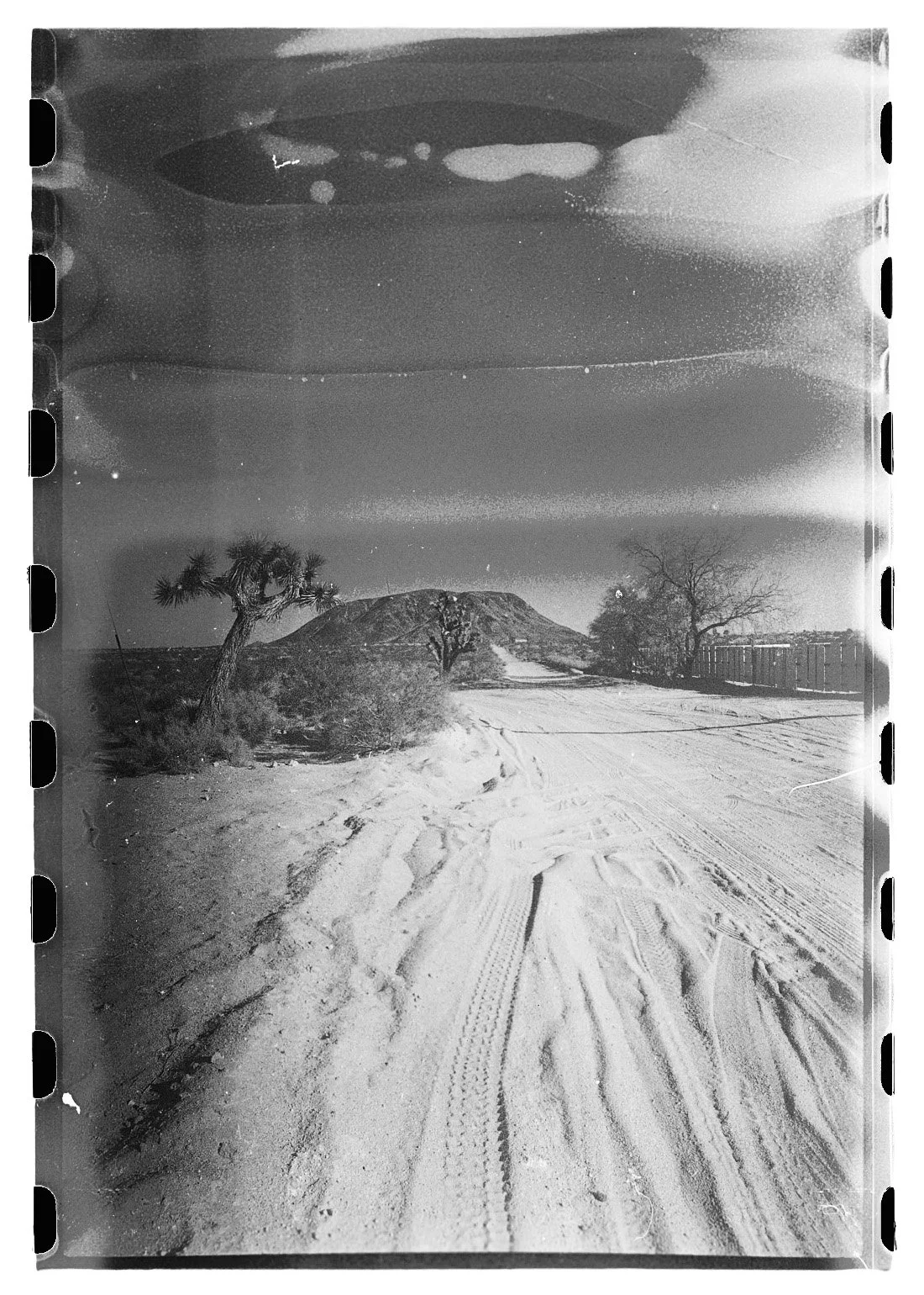 FilmScans4115.jpg