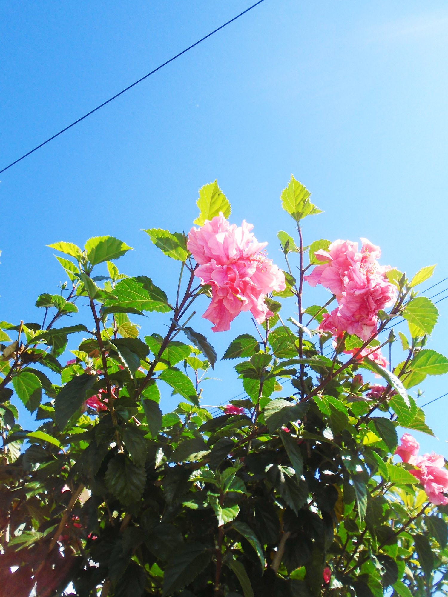 DSC03317.JPG
