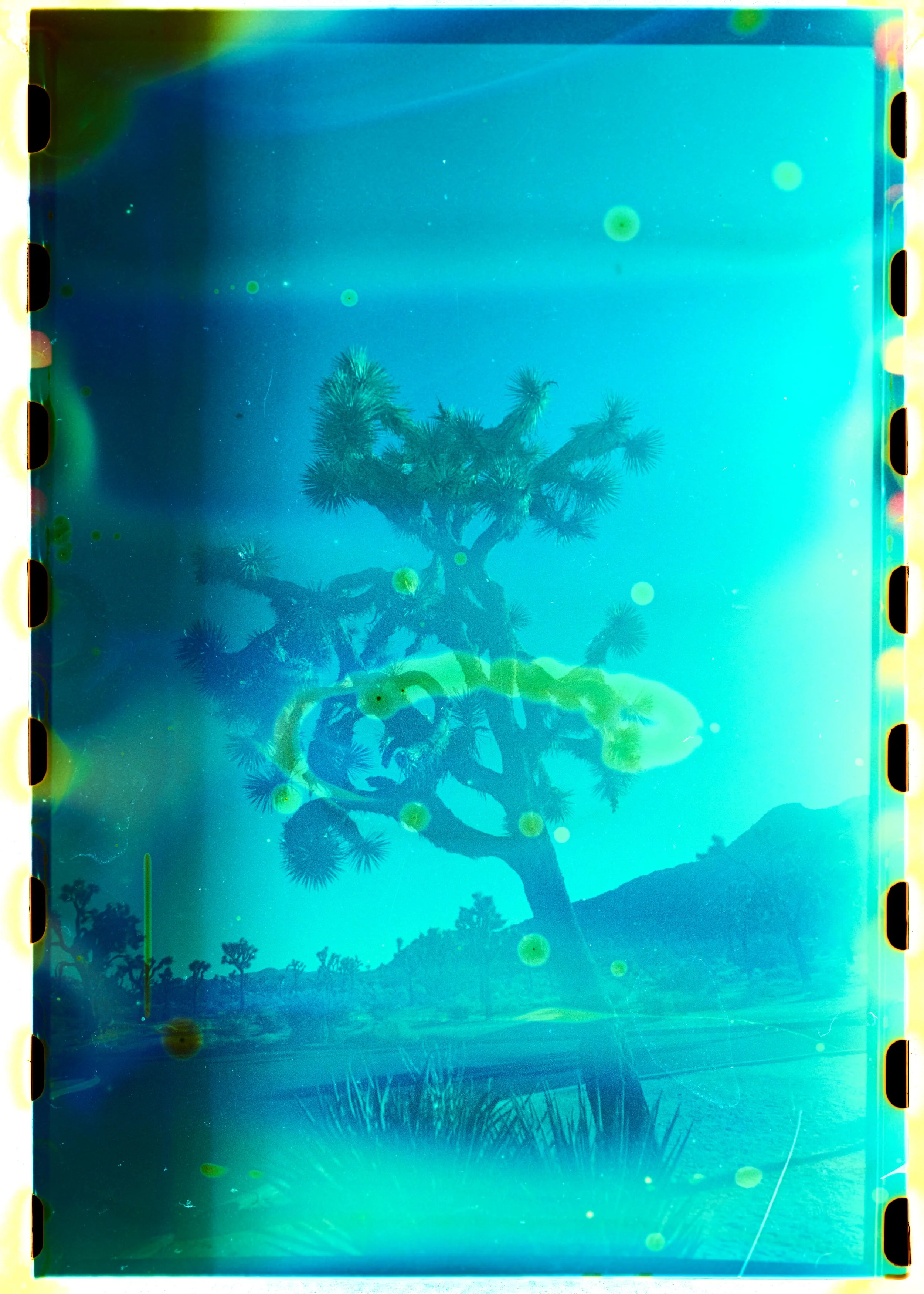 FilmScans4150A.jpg