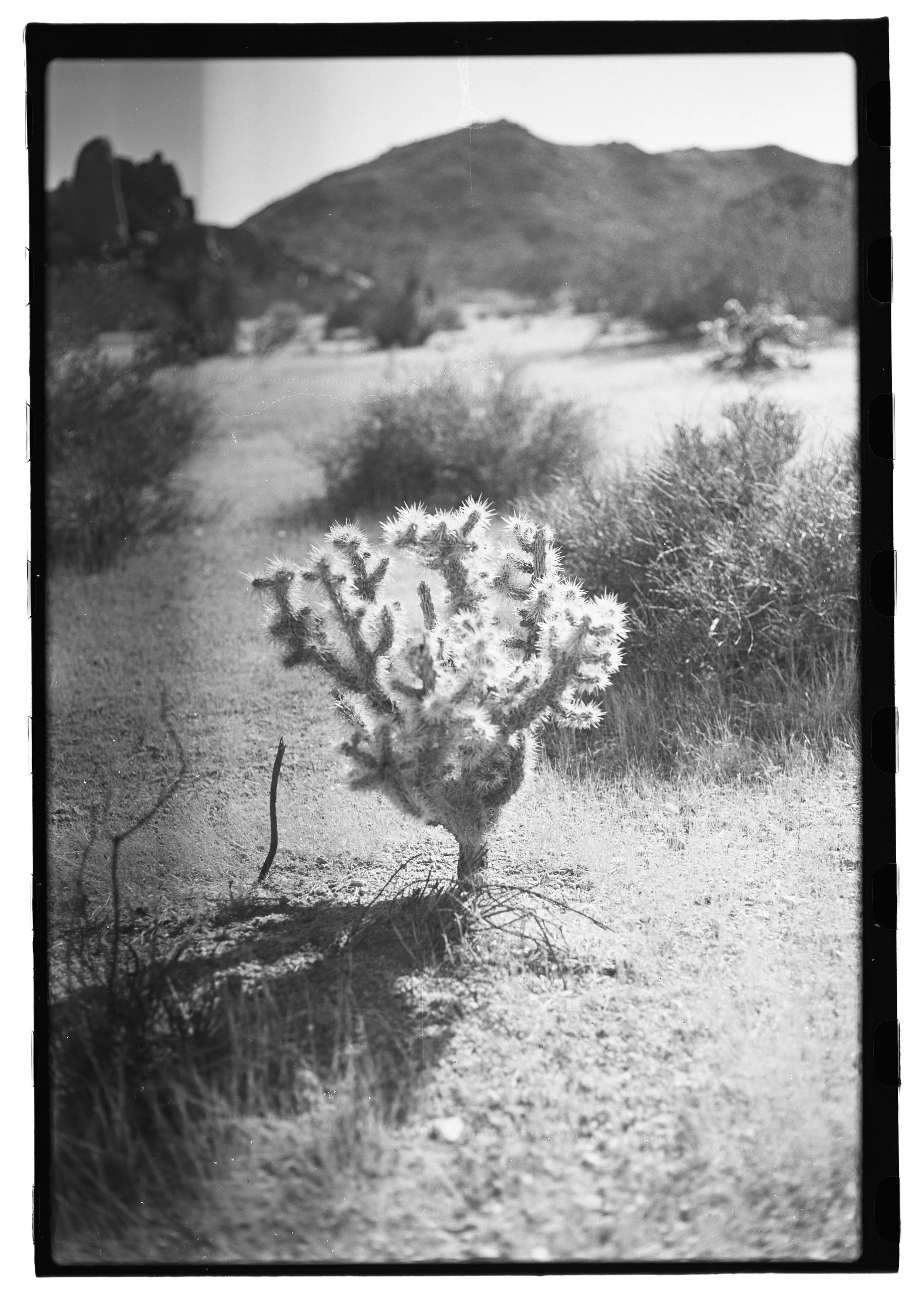FilmScans4259A.jpg