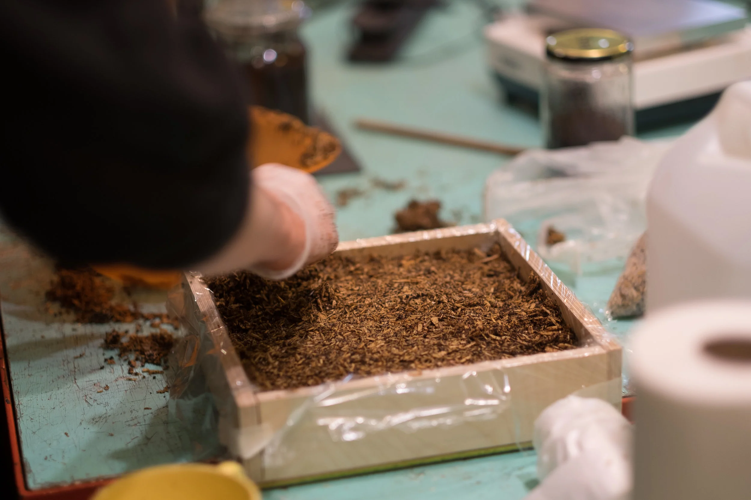 Placing the hemp fibres mixed with the mycelium in a mould.