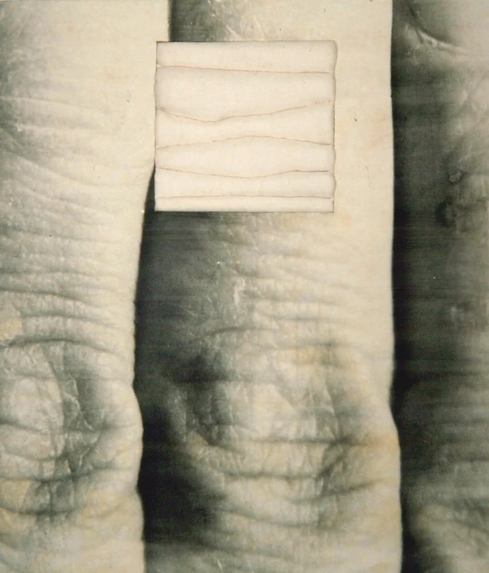 Senza titolo, 1993 Emulsione fotografica su tela incollata su legno cm. 210 x 180 x 16