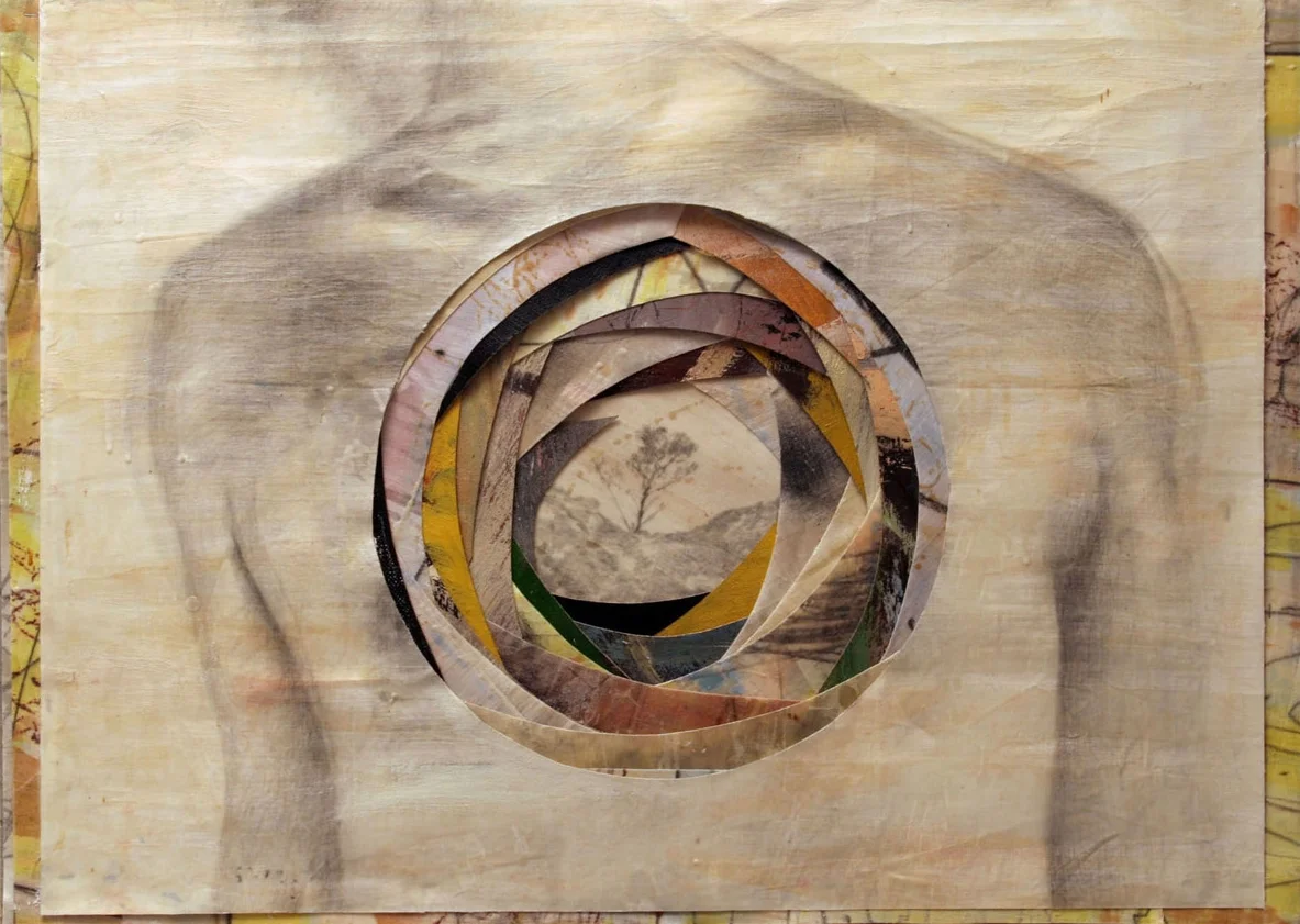 Senza titolo, 2005 Olio, grafite e cera su tela cm. 62,5 x 87,5