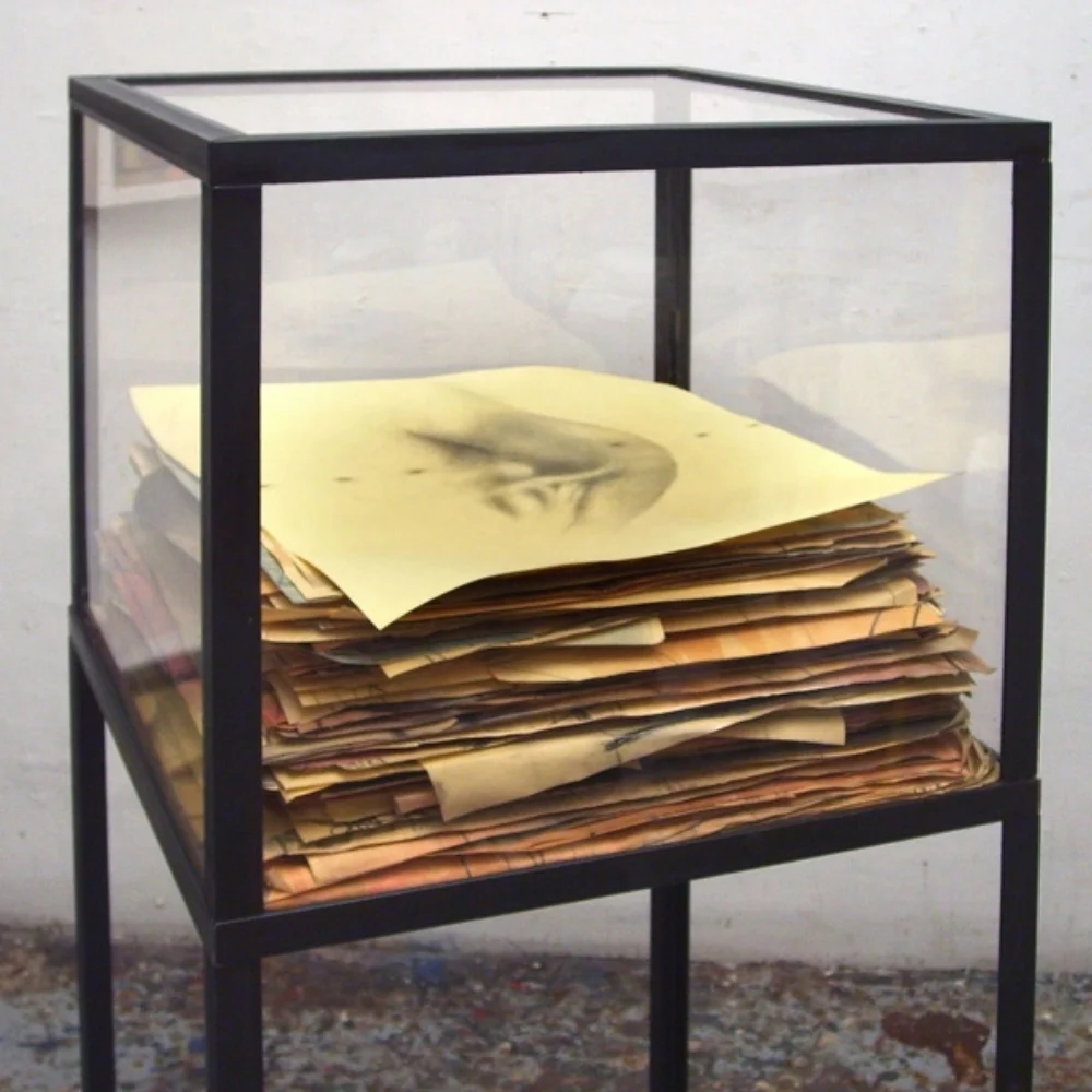 Senza titolo, 2007 tecnica mista su carta, ferro, vetro cm 145 x 50 x 50