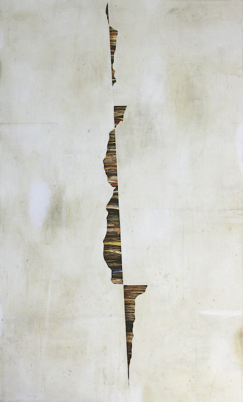 senza titolo 2016, tecnica mista su carta e tela cm. 200 x 120