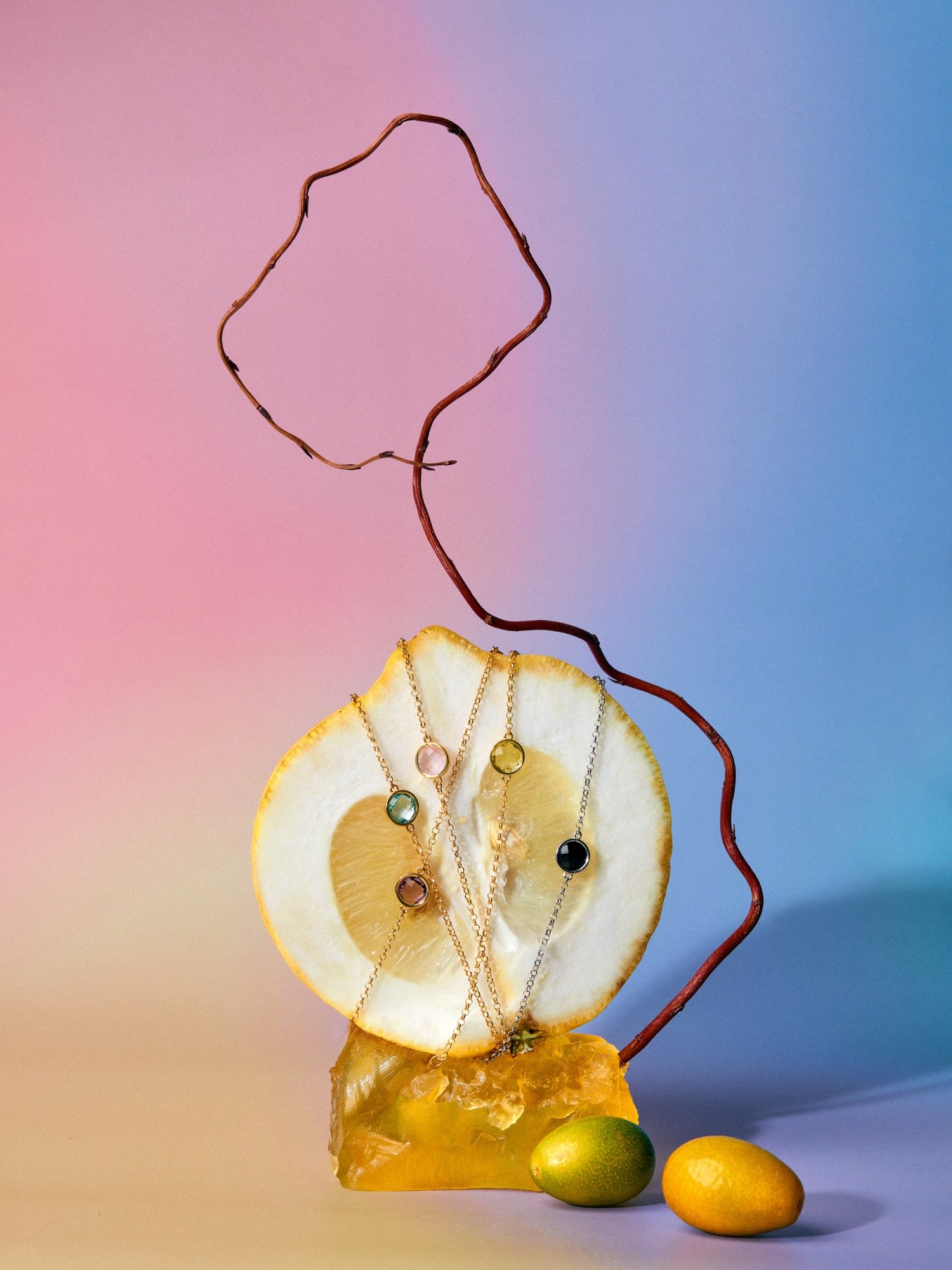 2025-03-12 Thais Still Life1178-2.jpg