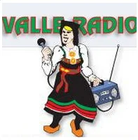 Valle Radio small.jpg