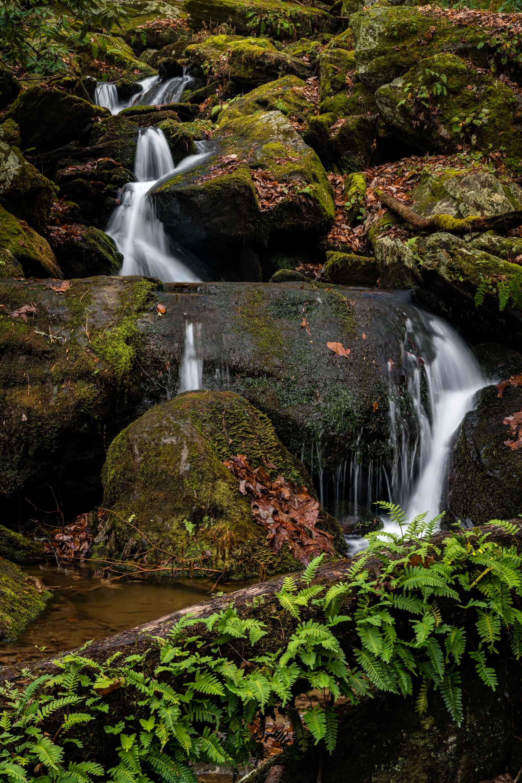 One of the many stream crossings on the way to the falls.