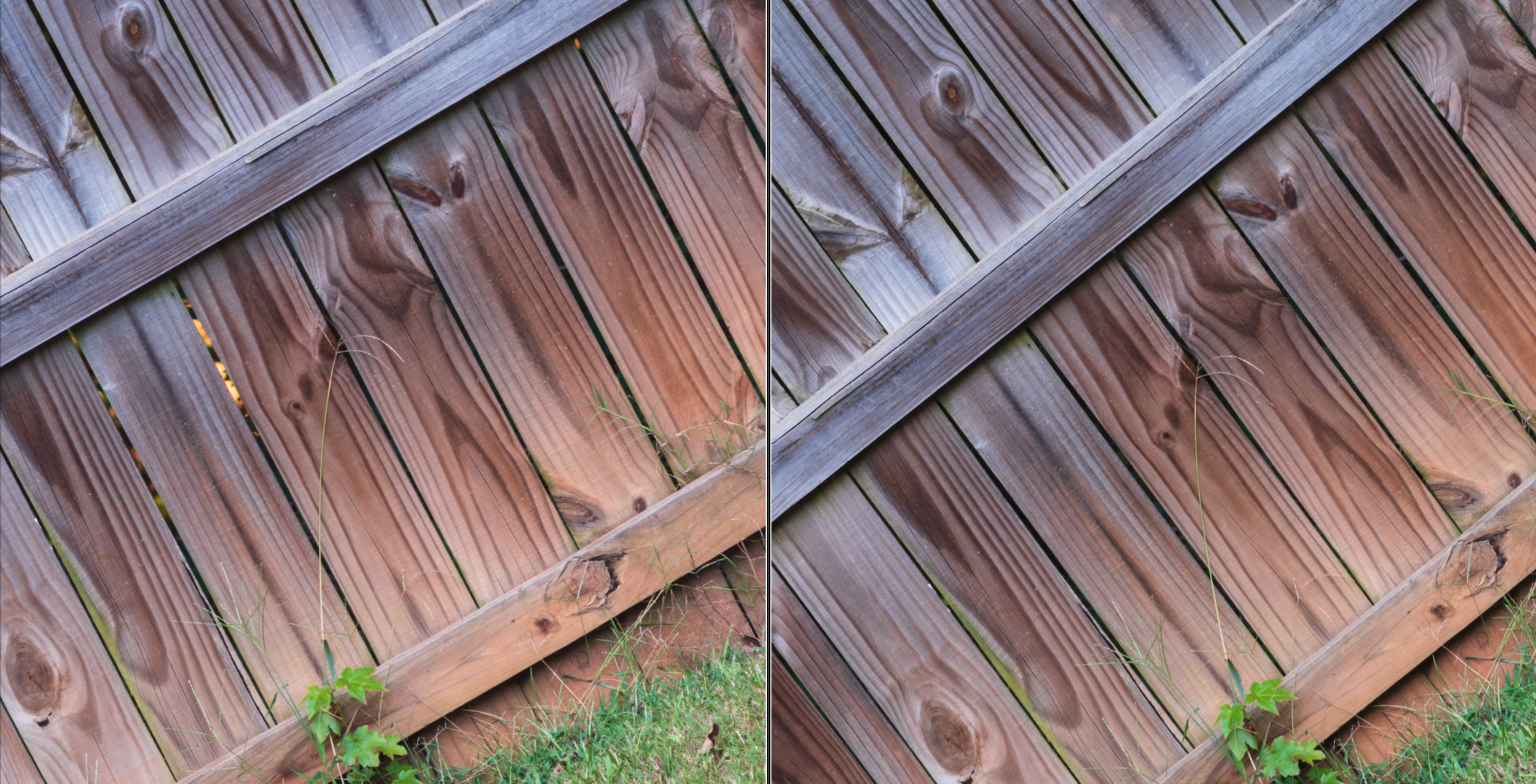 f/8: Left Nikon, Right Sony
