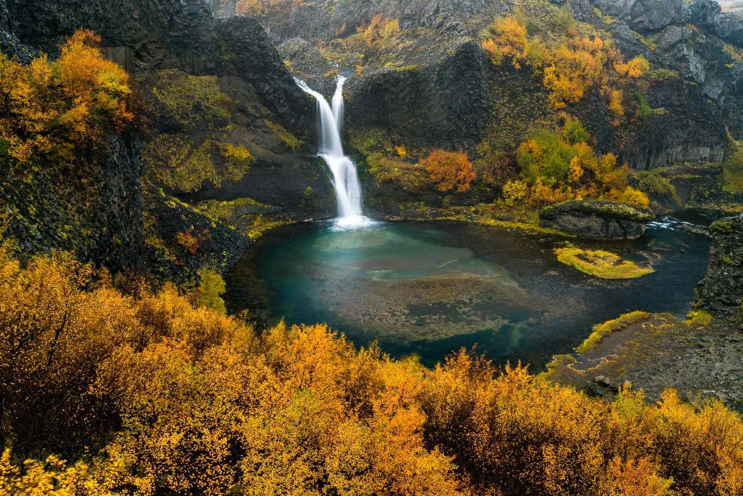 Iceland-1008.jpg
