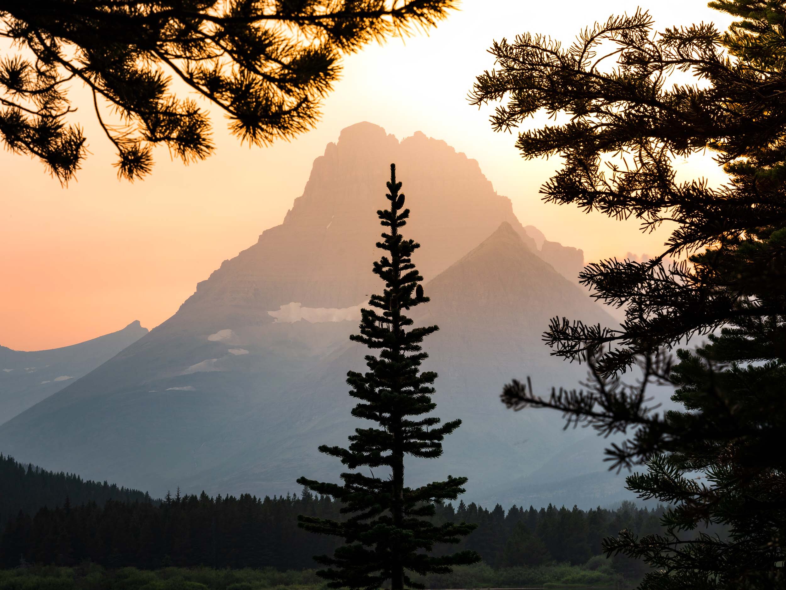 View along Swiftcurrent Lake