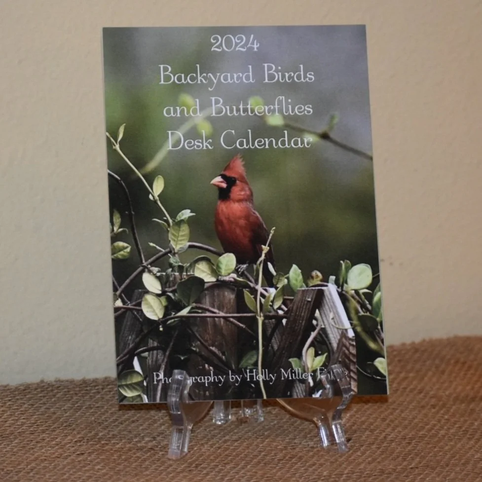 2024 Backyard Birds and Butterflies Desktop Calendar