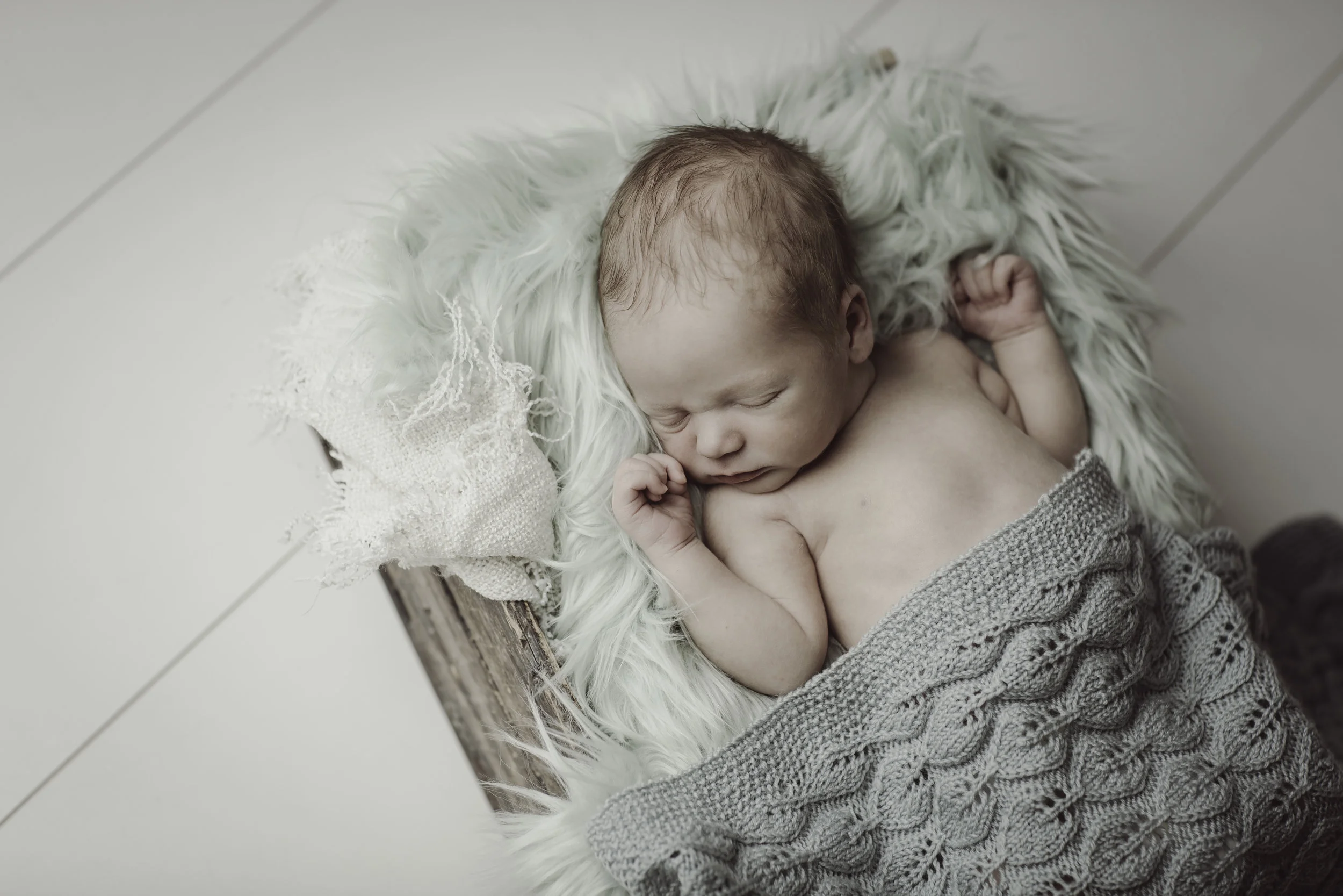 O69B1330-Edit copy.jpg