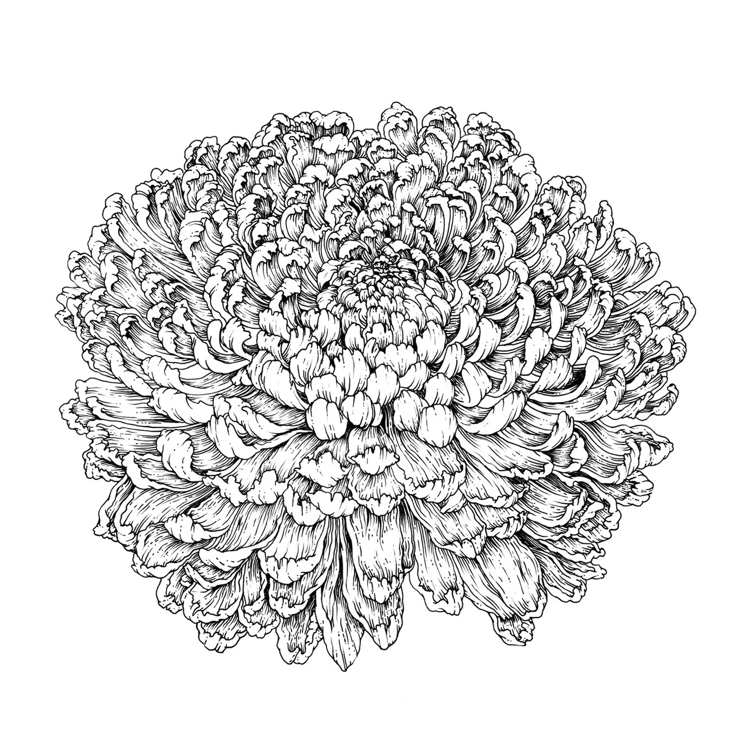 01-thumbnail.jpg